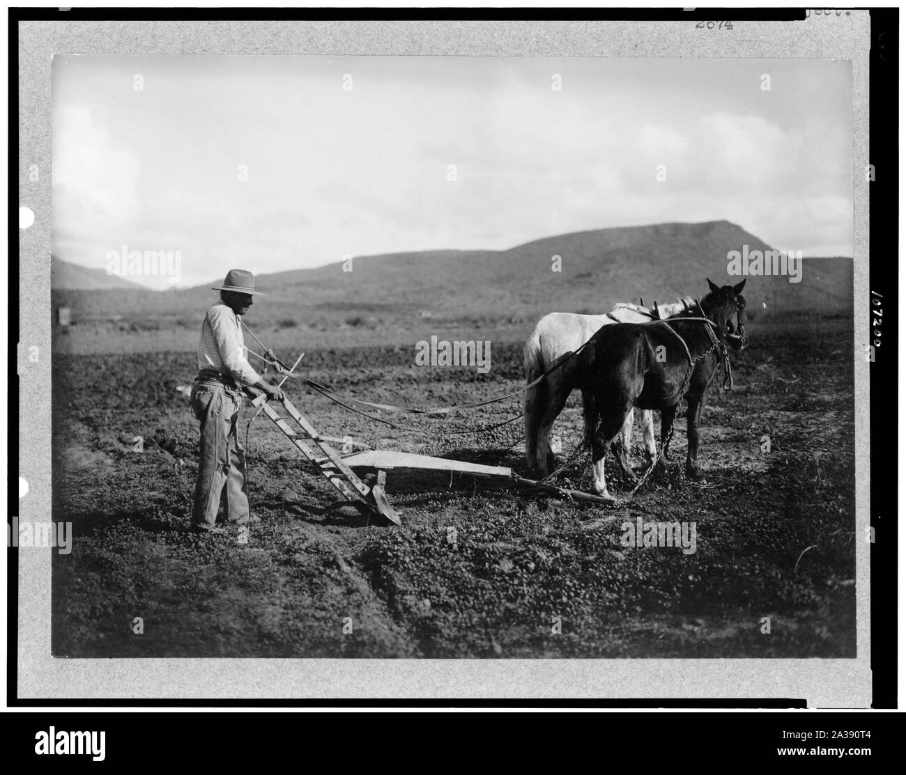 Sacaton indiano prenotazione. L'aratura indiano del suo paese. Sale River Project Foto Stock