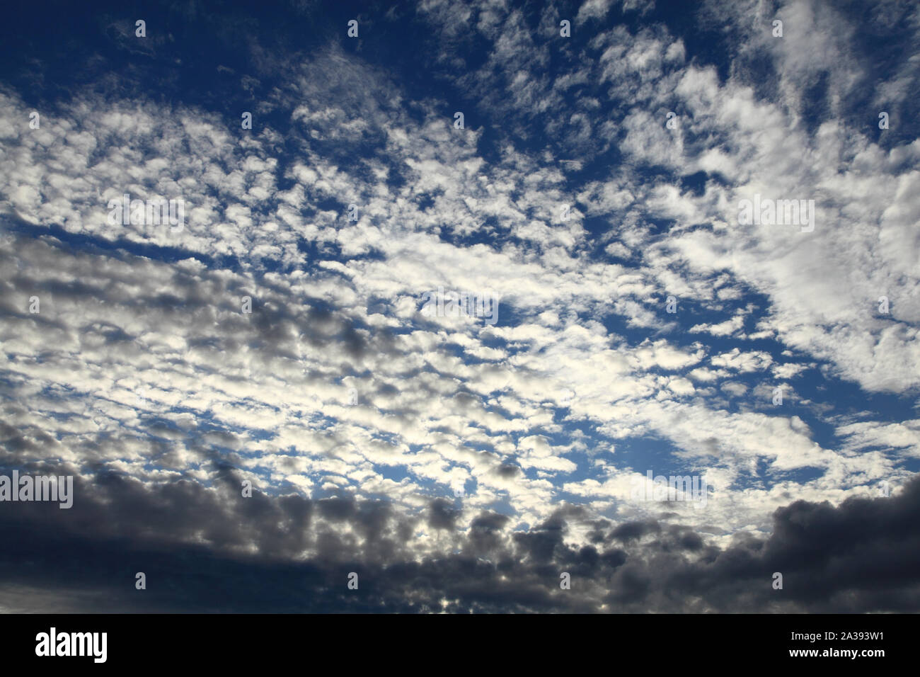 Il cloud, la formazione, il bianco delle nuvole, drammatico, sky, meteorologia Foto Stock