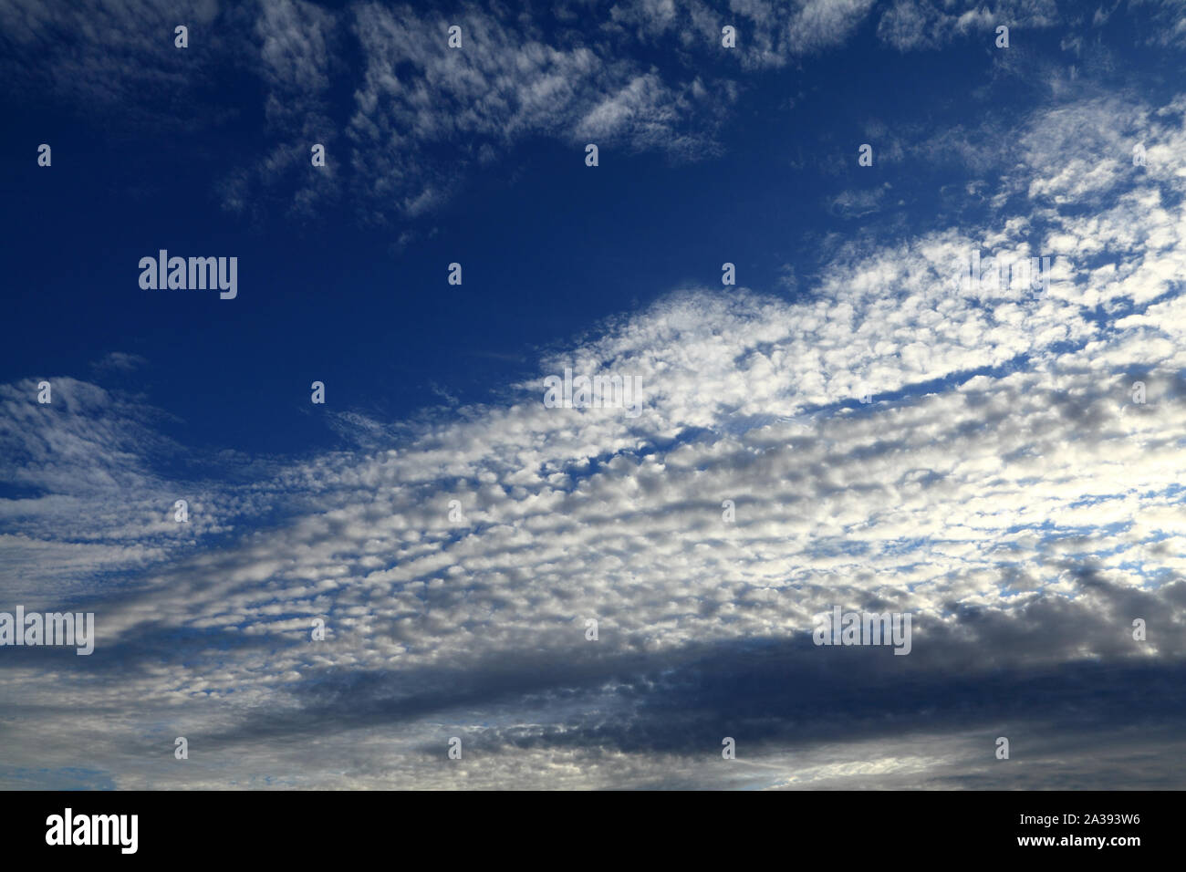 Il cloud, la formazione, il bianco delle nuvole, drammatico, sky, meteorologia Foto Stock