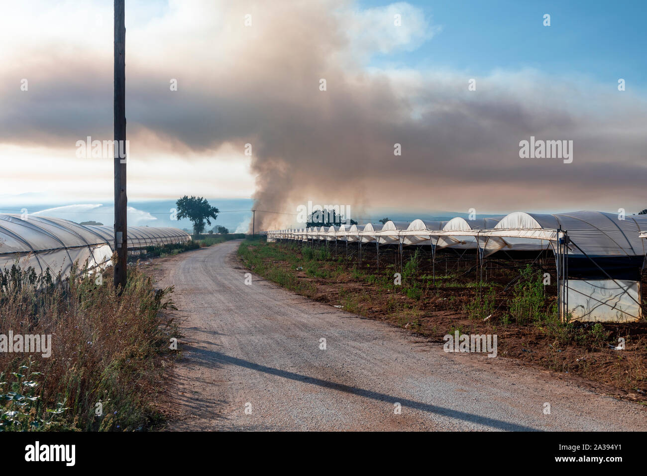 Fumo nero in aria a causa della combustione off di sottobosco su un podere agricolo. Foto Stock