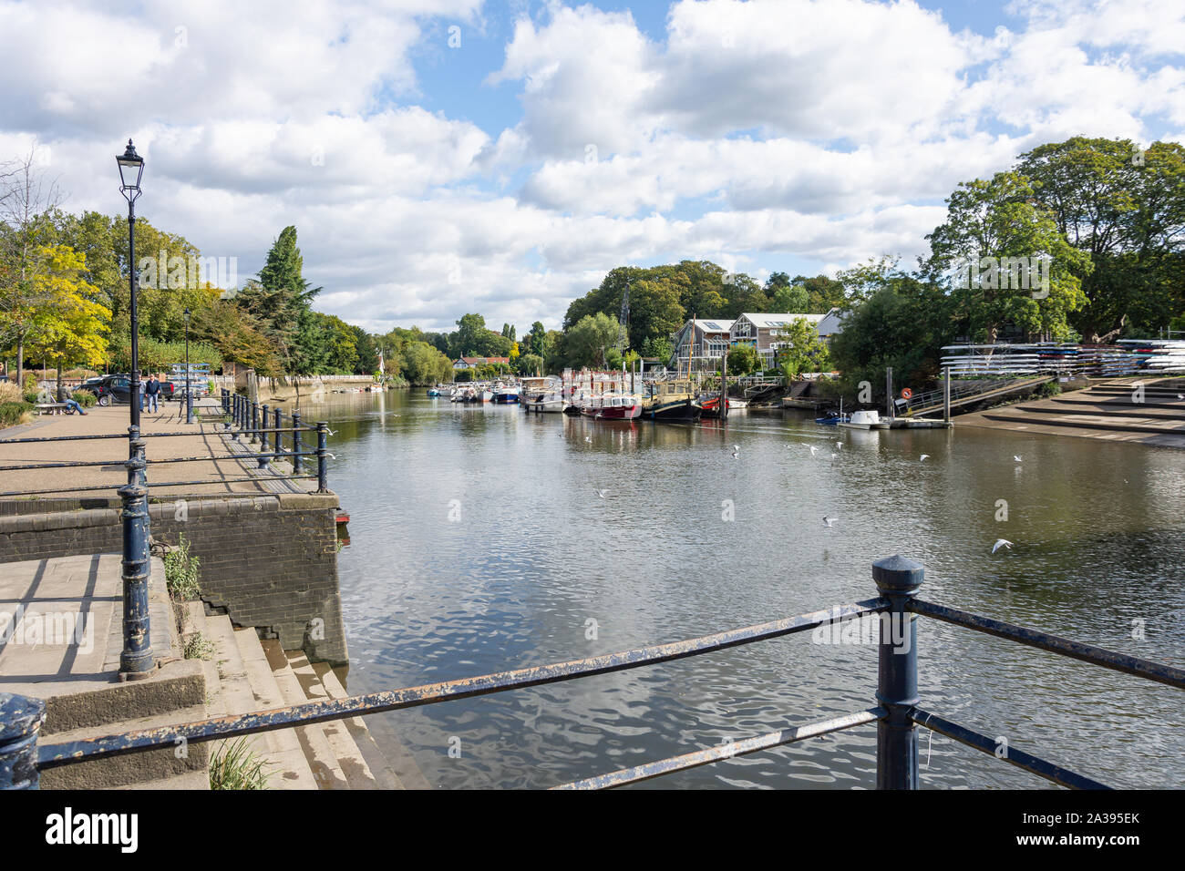 Il fiume Tamigi Embankment e anguilla isola a torta, Twickenham, Borough di Richmond upon Thames, Greater London, England, Regno Unito Foto Stock