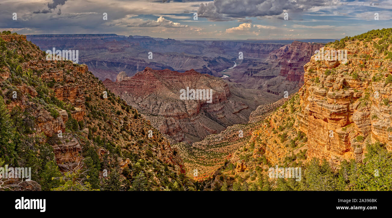 Grand Canyon dal punto Navajo, South Rim, Arizona, Stati Uniti Foto Stock