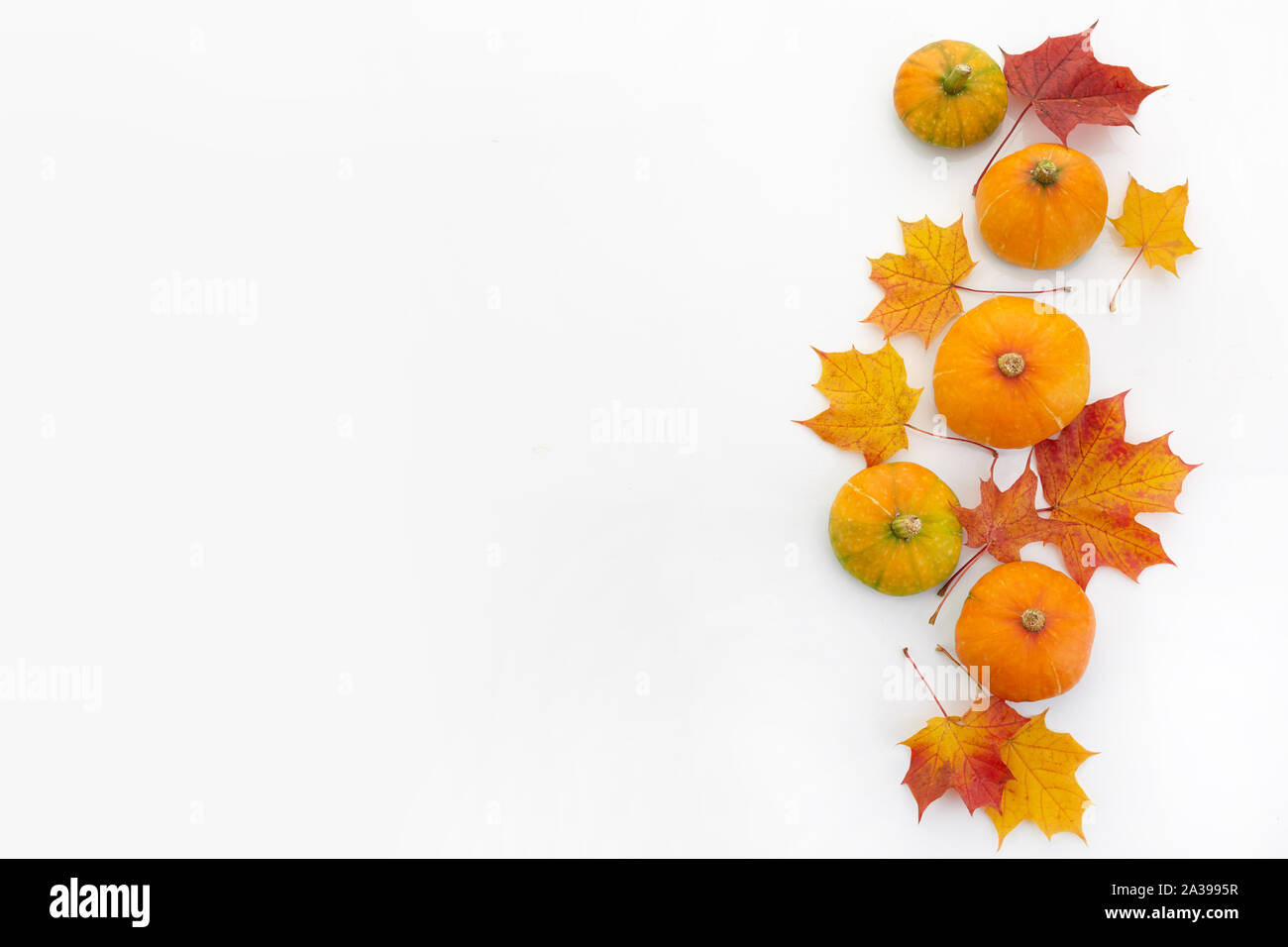 Composizione d'autunno. Zucche, foglie essiccate su sfondo bianco. In autunno, concetto di Halloween. Piatto, laici vista superiore Foto Stock