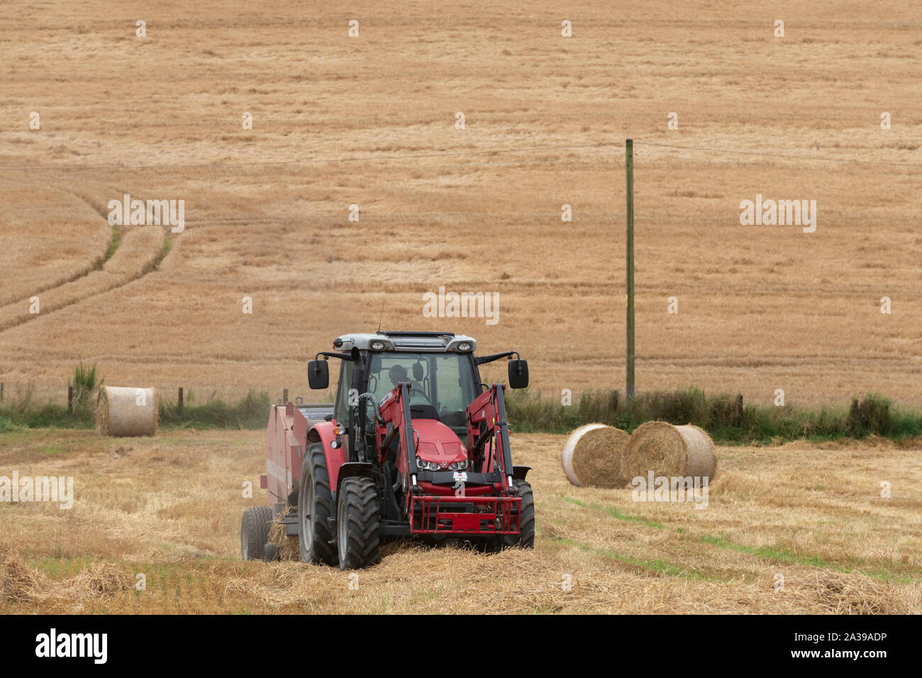 Imballano Paglia di orzo sul terreno coltivato in Aberdeenshire Foto Stock