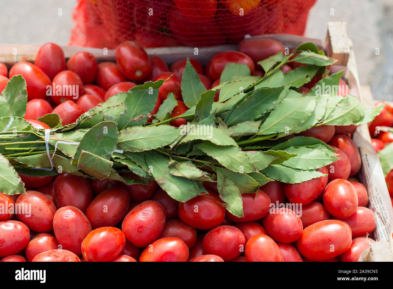 Morbido, mature, pomodori grandi prevista nelle caselle e cotto in vendita .la Russia. Foto Stock