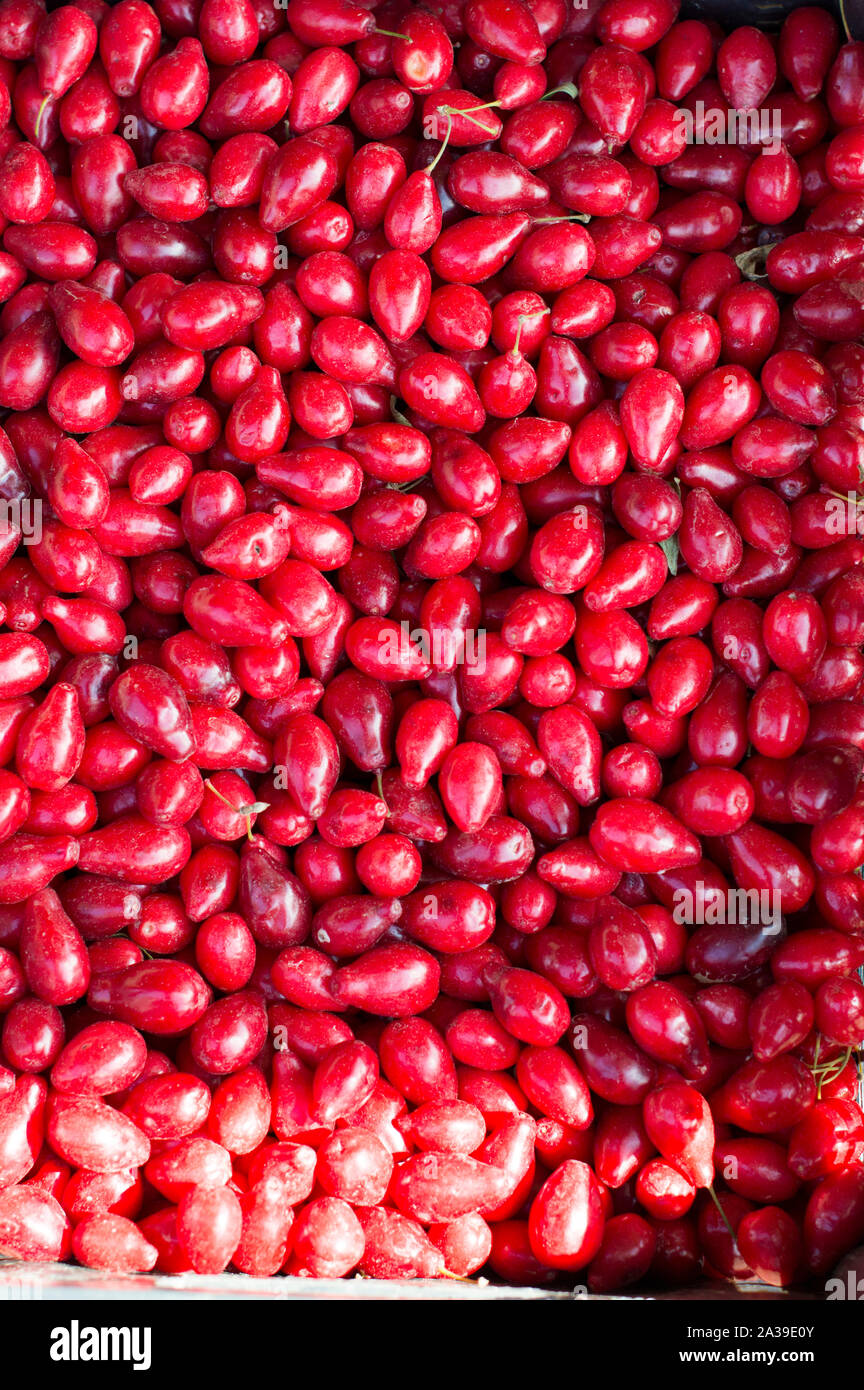Frutta Rossa, piccola e consiste in un contenitore per la vendita. Il sole splende sul bacche. La Russia. Foto Stock