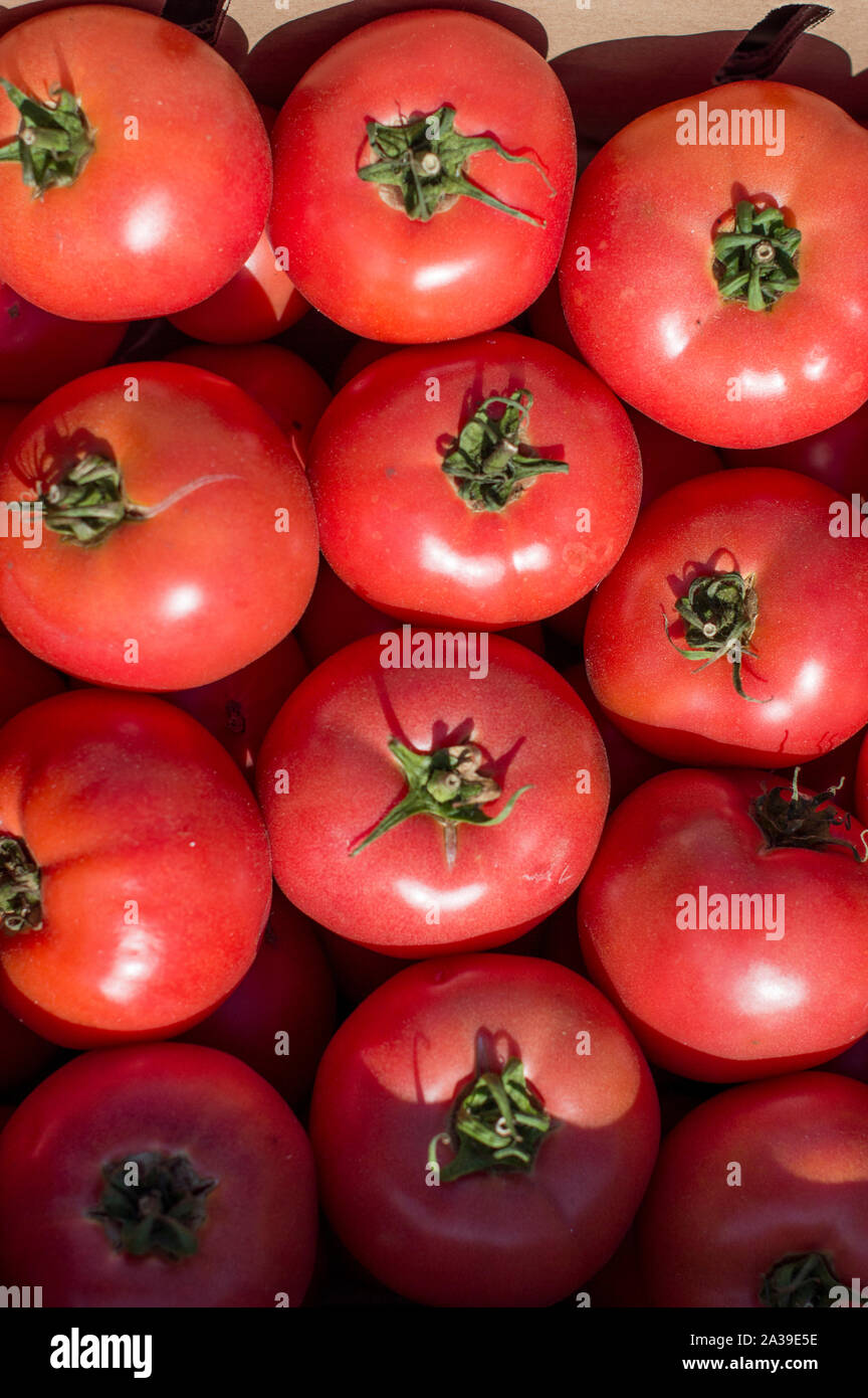 Morbido, mature, pomodori grandi prevista nelle caselle e cotto in vendita .la Russia. Foto Stock