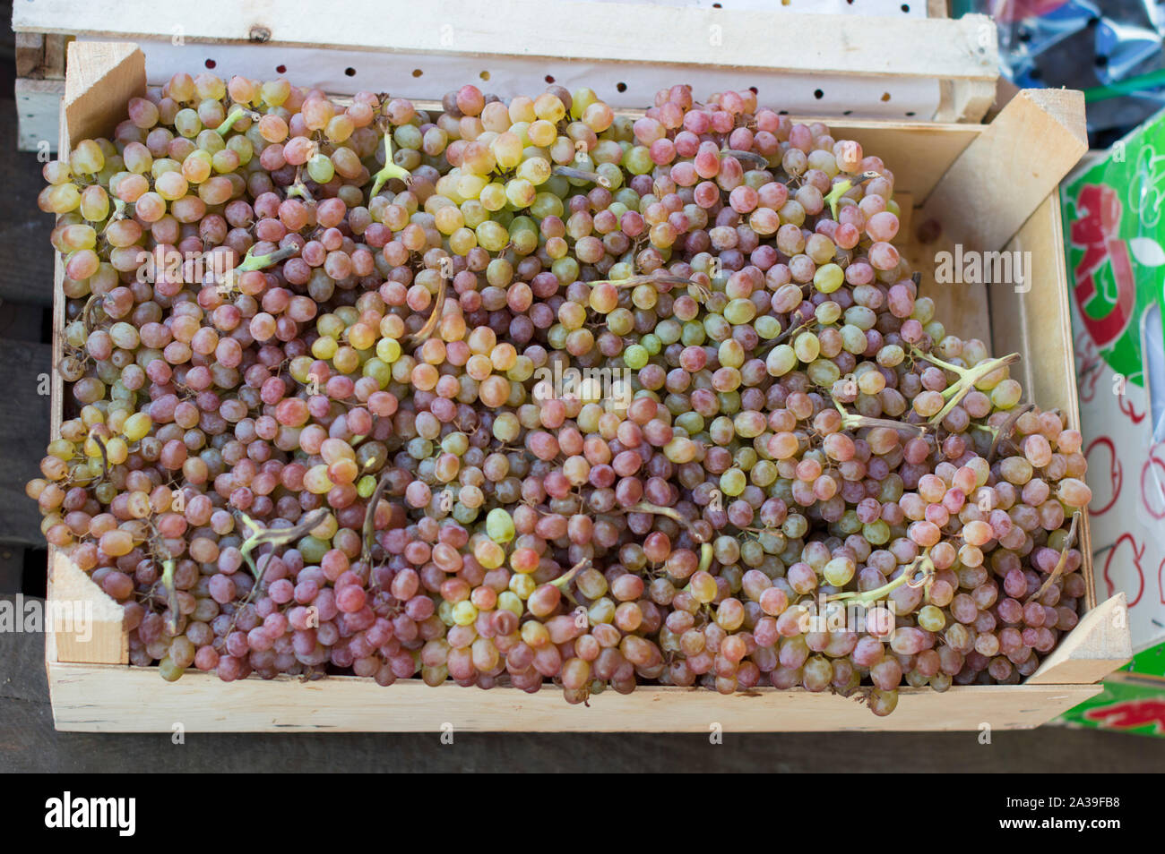 Gustoso, succosa, iridato nel sole uve. Tabella varietà e ladies' dita. Si trova in scatole per la vendita. La Russia. Foto Stock