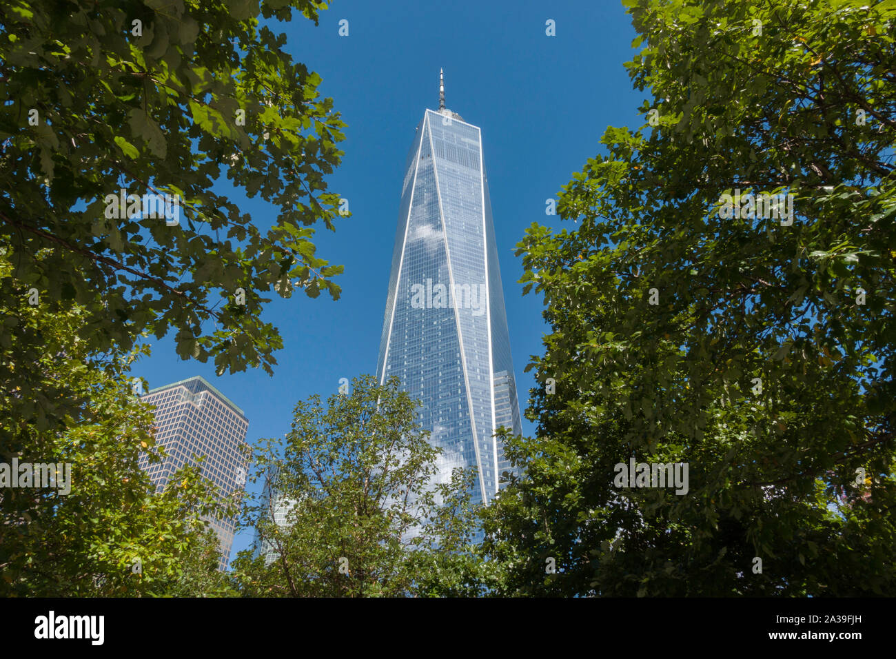 One World Trade Center, la parte inferiore di Manhattan, New York, Stati Uniti d'America Foto Stock