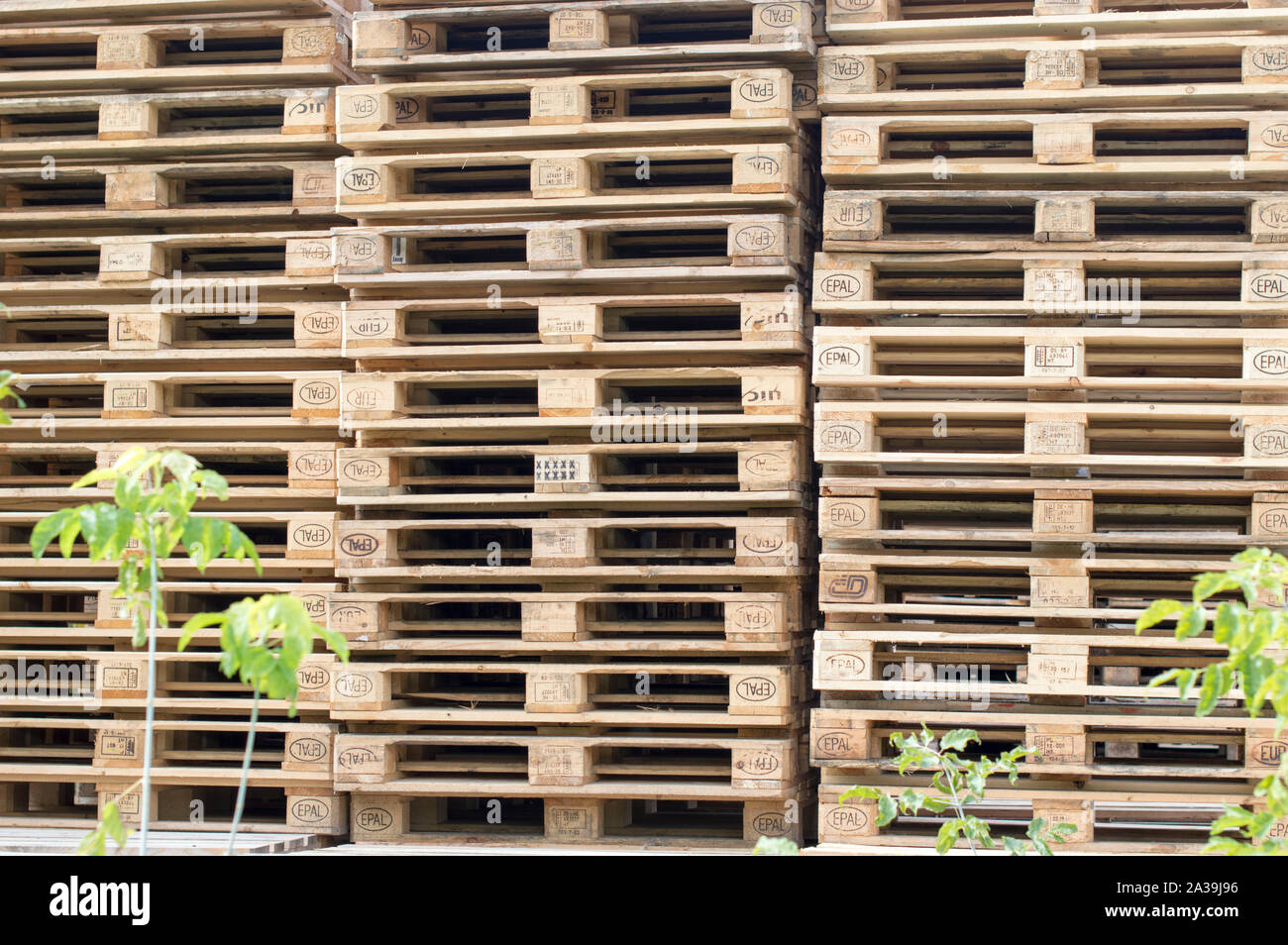 I pallet in legno di cui all'aria fresca a una costruzione del mercato. La  Russia Foto stock - Alamy