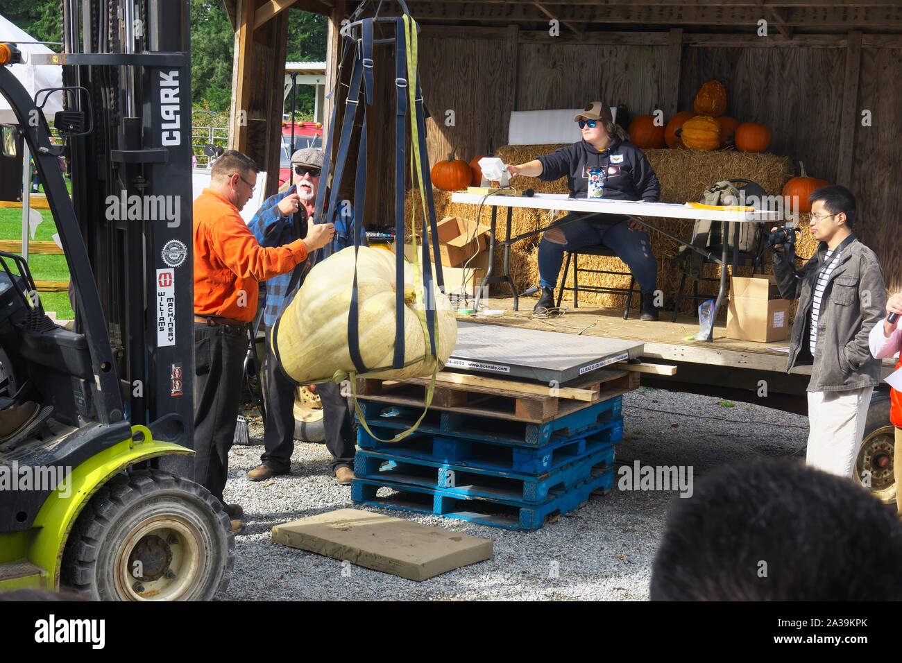 La zucca gigante pesare-off, Langley, B. C., Canada. Il 5 ottobre 2019. Il sollevamento del carrello una zucca gigante sulla scala. Foto Stock