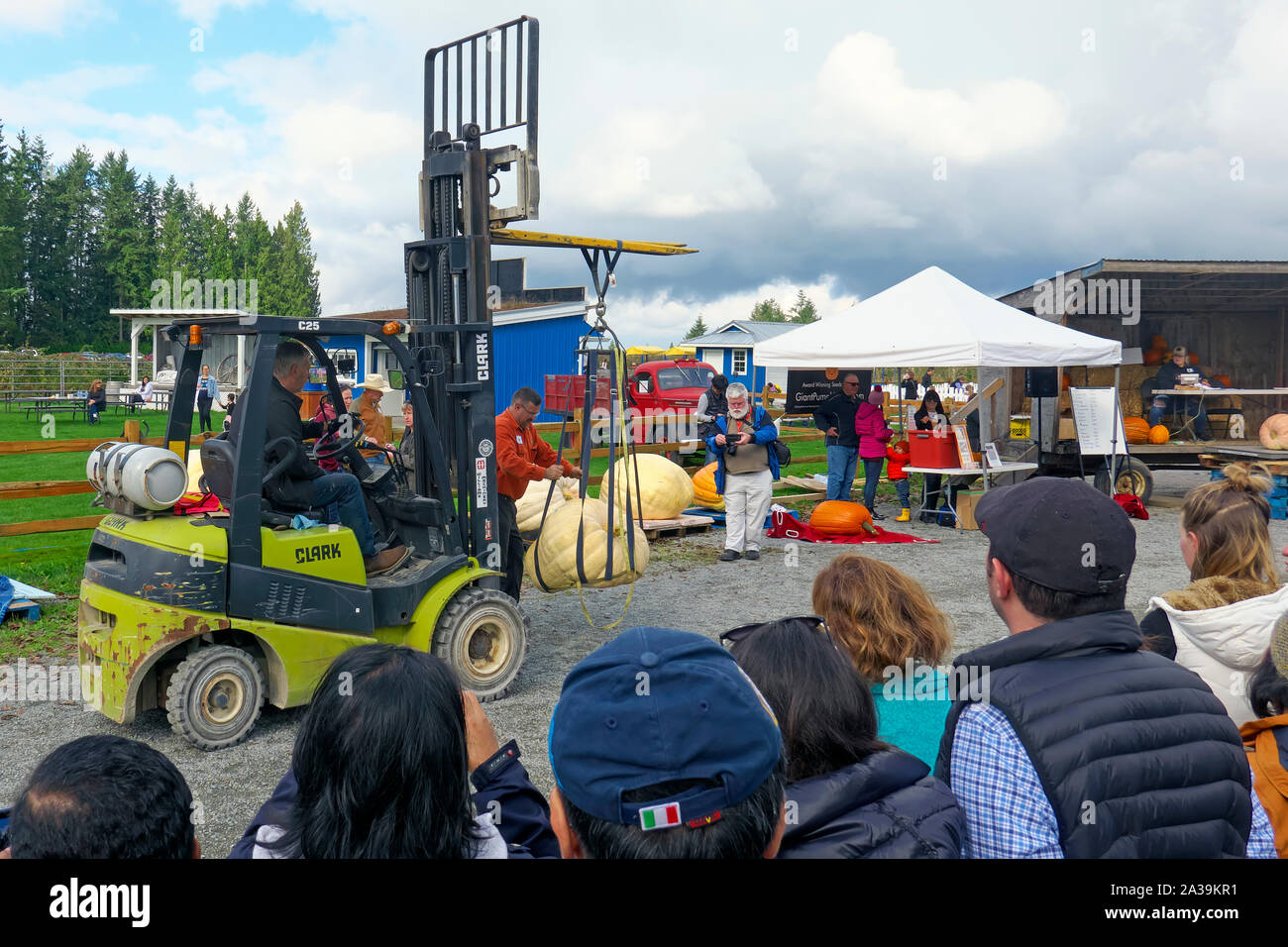 La zucca gigante pesare-off, Langley, B. C., Canada. Il 5 ottobre 2019. Operatore carrello elevatore a forche lo spostamento di una zucca gigante con gli spettatori che guarda. Foto Stock