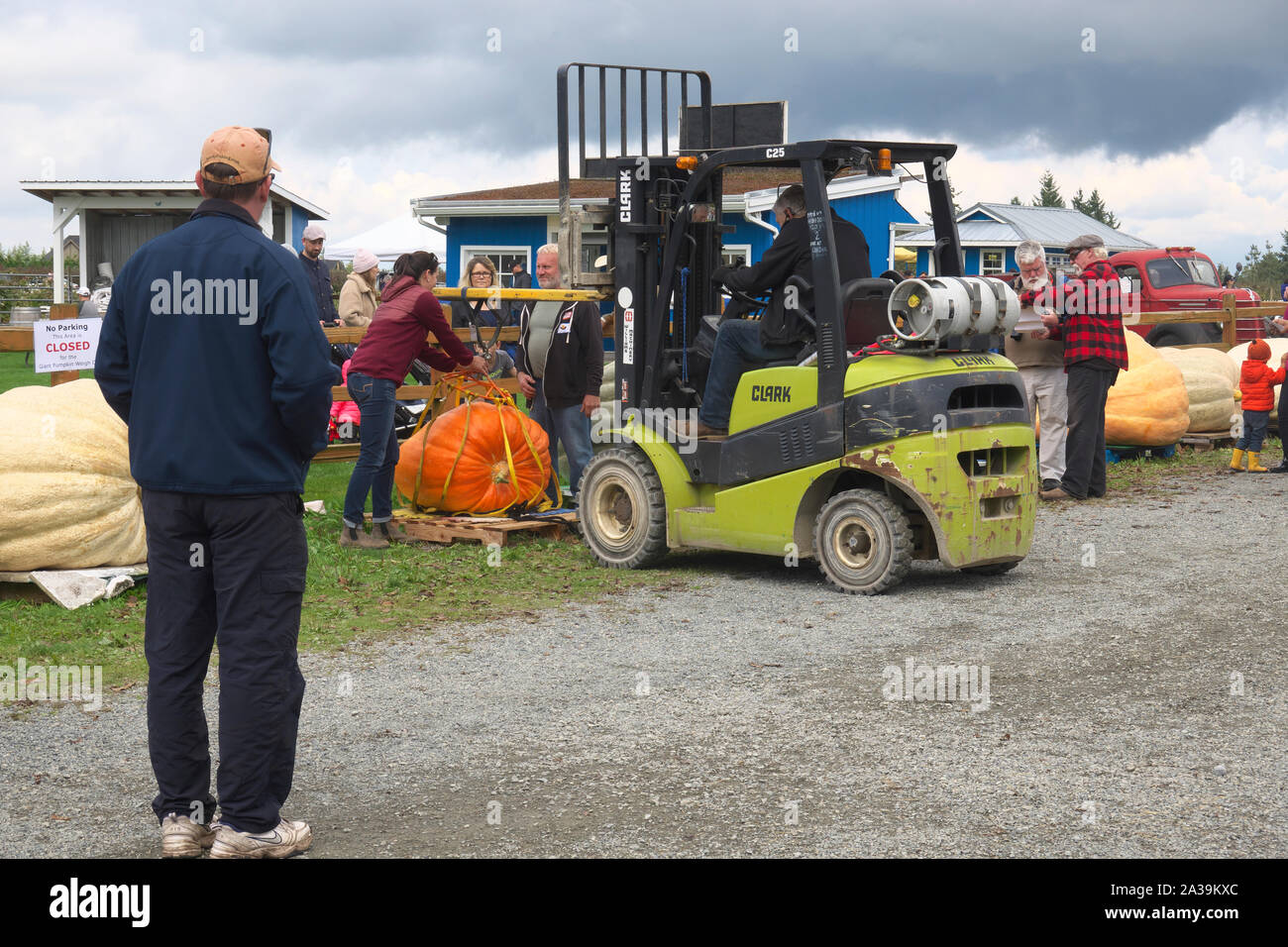 Giant Pumpkin Weigh-off, Langley, B. C., Canada. 5 ottobre 2019. Una donna si infili nella sua zucca al carrello mentre la gente guarda. Foto Stock