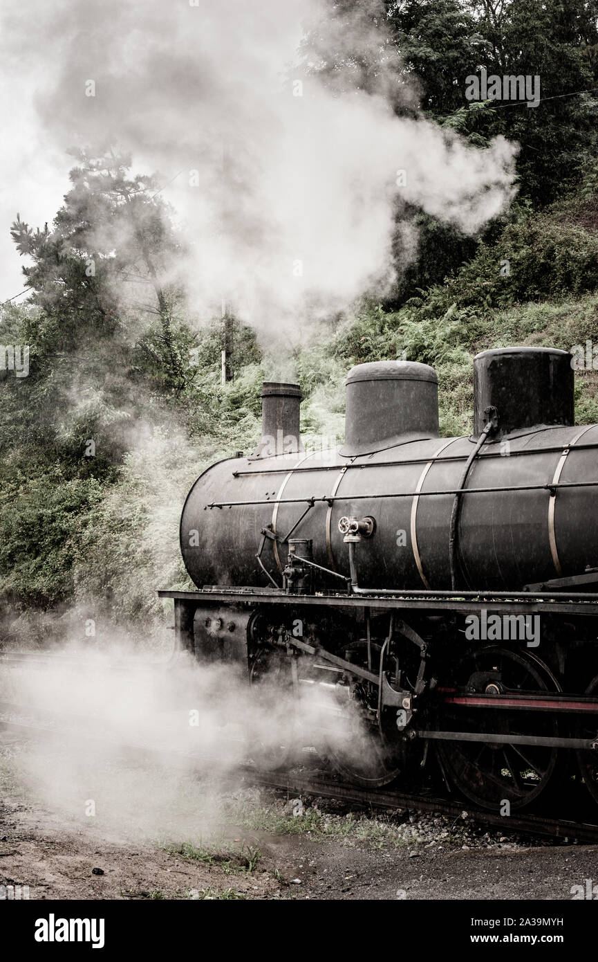 Lo spostamento del treno a vapore puffing fumo denso in aria Foto Stock