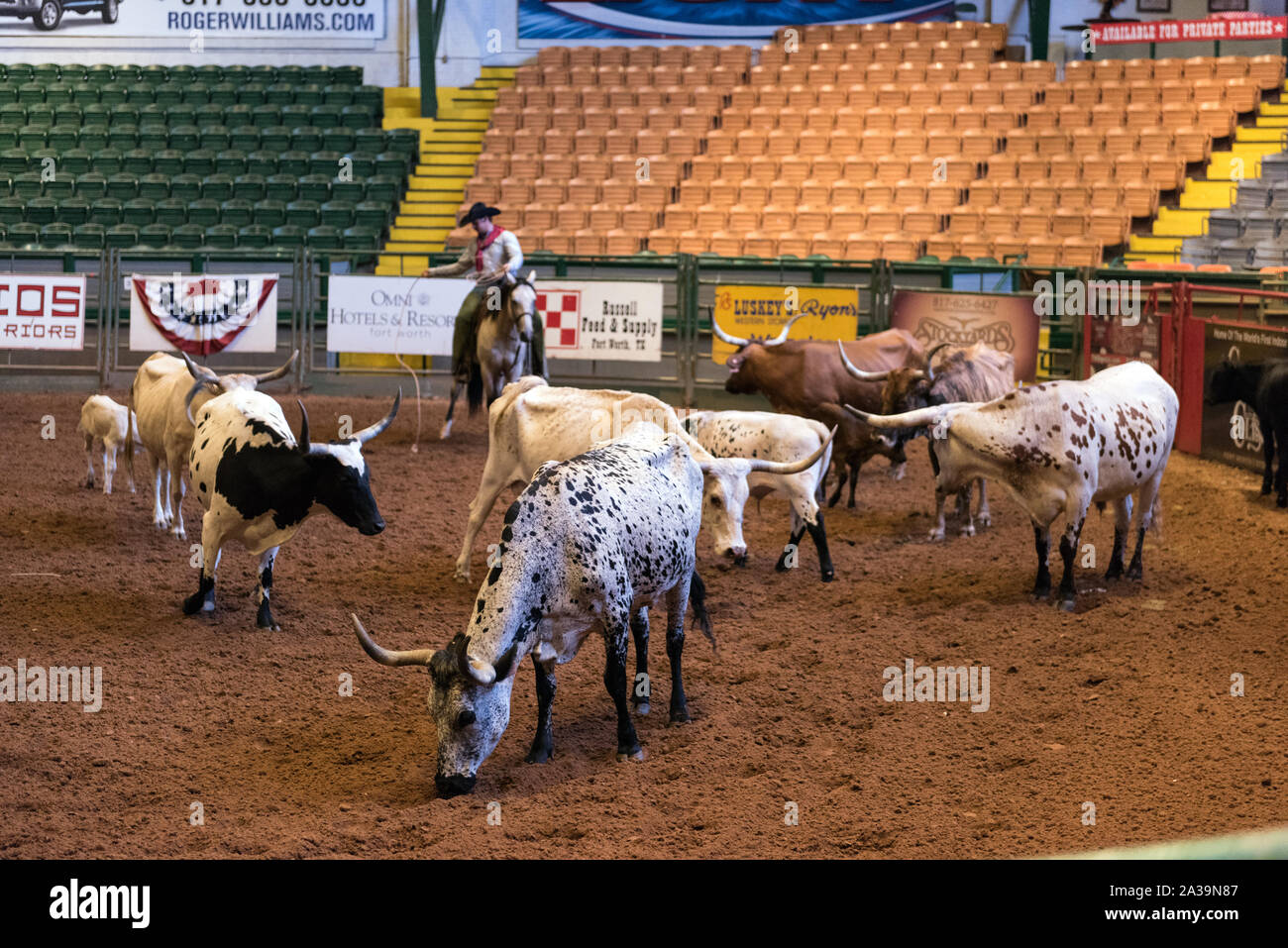 Scena di Pawnee Bill's Wild West Show all'Cowtown Coliseum in Stockyards quartiere di Fort Worth, Texas Foto Stock