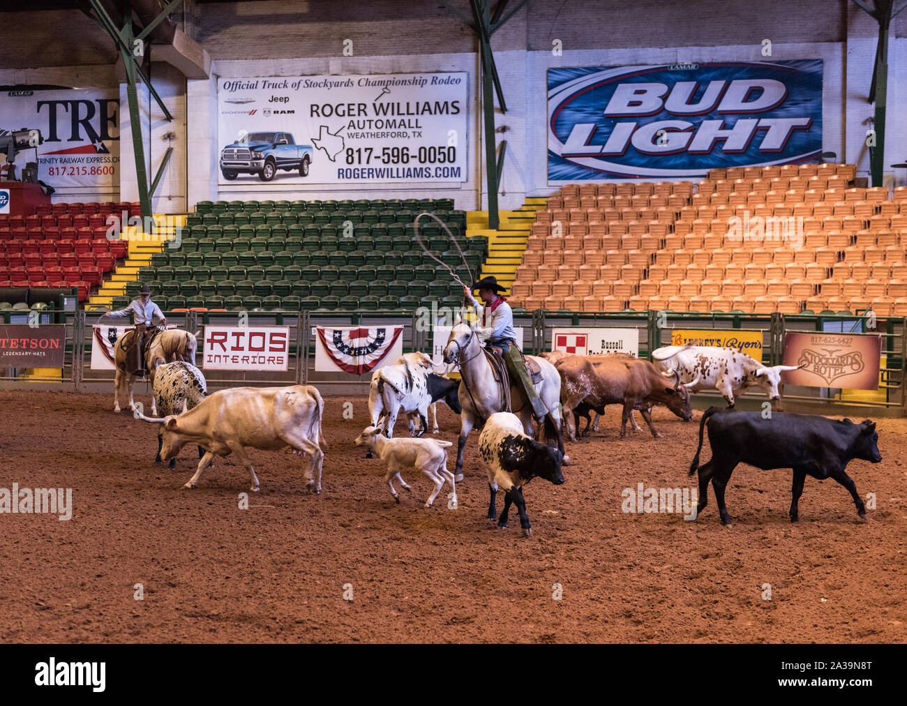 Scena di Pawnee Bill's Wild West Show all'Cowtown Coliseum in Stockyards quartiere di Fort Worth, Texas Foto Stock