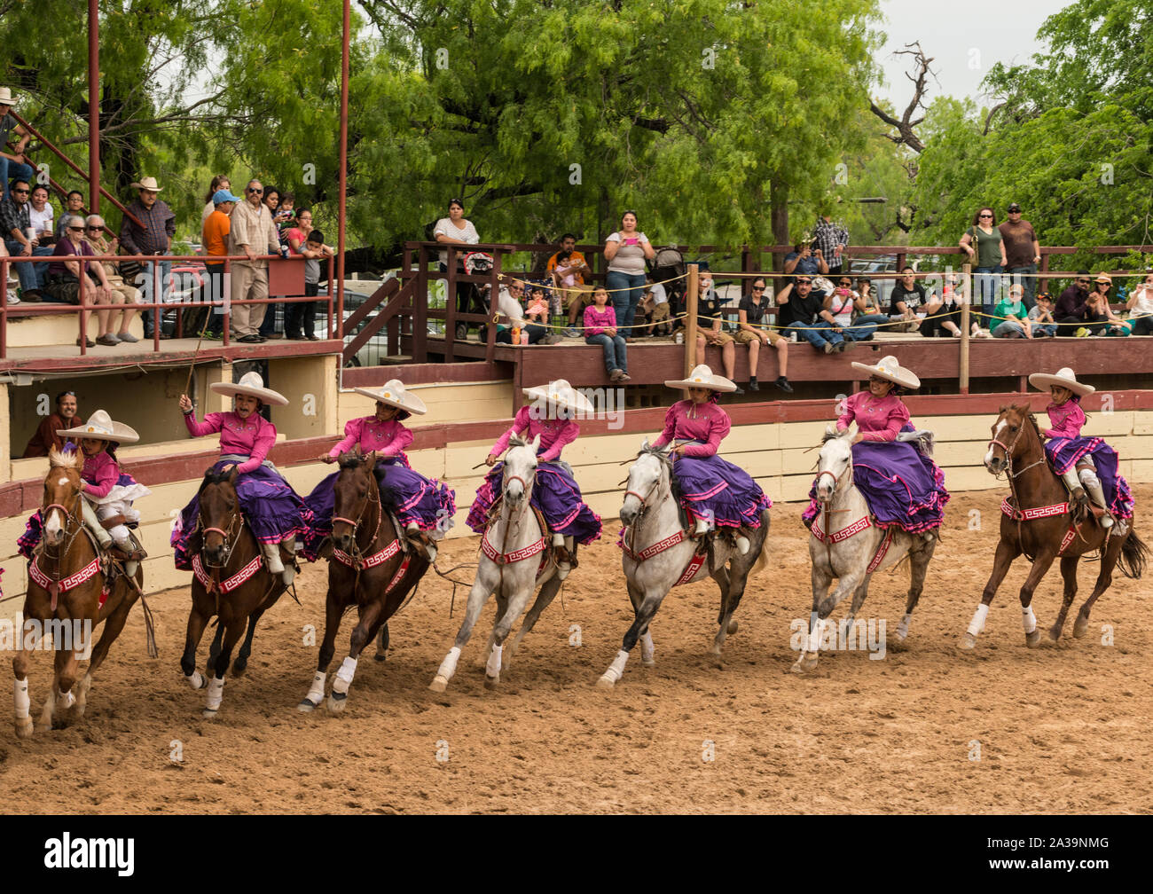 Scena da una charreria (equitazione), talvolta chiamato un messicano rodeo, in corrispondenza di un giorno nel vecchio Messico, uno dei numerosi eventi a monthlong Fiesta la celebrazione in San Antonio, Texas Foto Stock