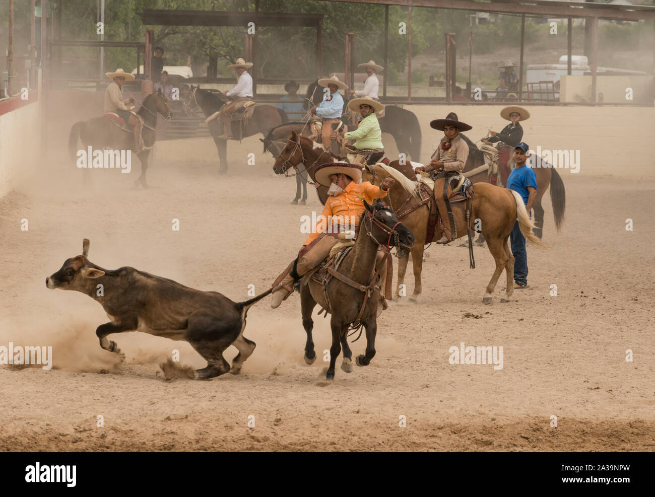 Scena di uno stile Messicano rodeo, o la charreria (equitazione), in corrispondenza di un giorno nel vecchio Messico, parte dell'annuale, monthlong Fiesta la celebrazione in San Antonio, Texas Foto Stock