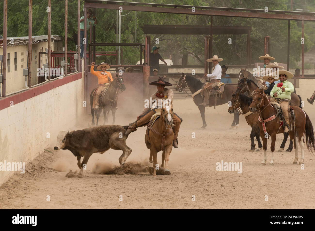 Scena di uno stile Messicano rodeo, o la charreria (equitazione), in corrispondenza di un giorno nel vecchio Messico, parte dell'annuale, monthlong Fiesta la celebrazione in San Antonio, Texas Foto Stock