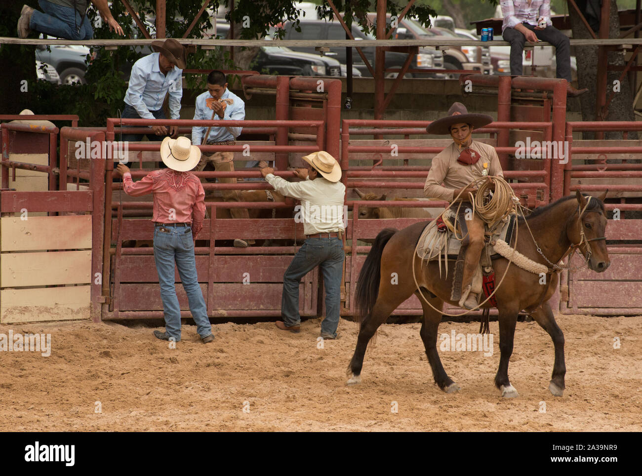 Scena di uno stile Messicano rodeo, o la charreria (equitazione), in corrispondenza di un giorno nel vecchio Messico, parte dell'annuale, monthlong Fiesta la celebrazione in San Antonio, Texas Foto Stock