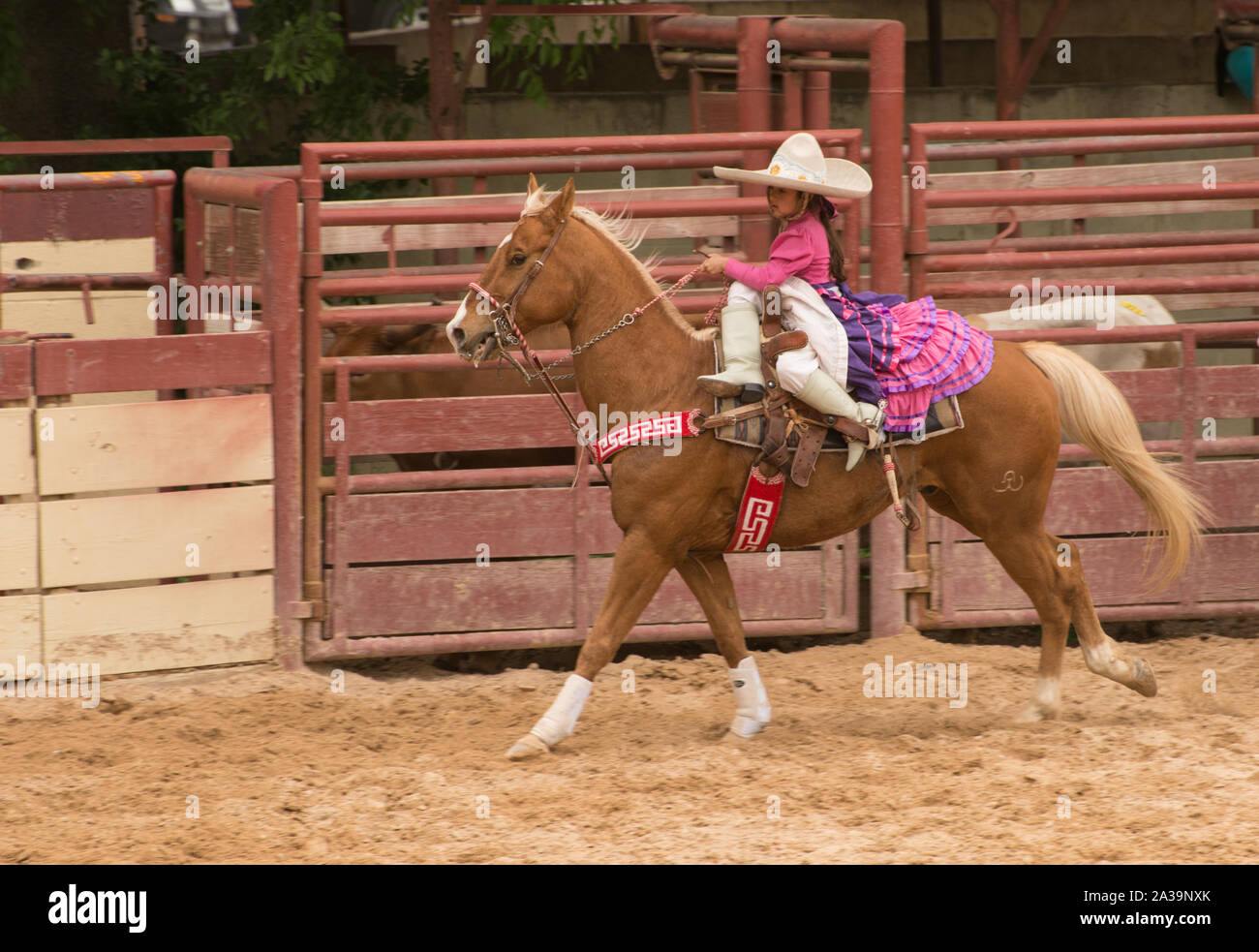 Scena di uno stile Messicano rodeo, o la charreria (equitazione), in corrispondenza di un giorno nel vecchio Messico, parte dell'annuale, monthlong Fiesta la celebrazione in San Antonio, Texas Foto Stock