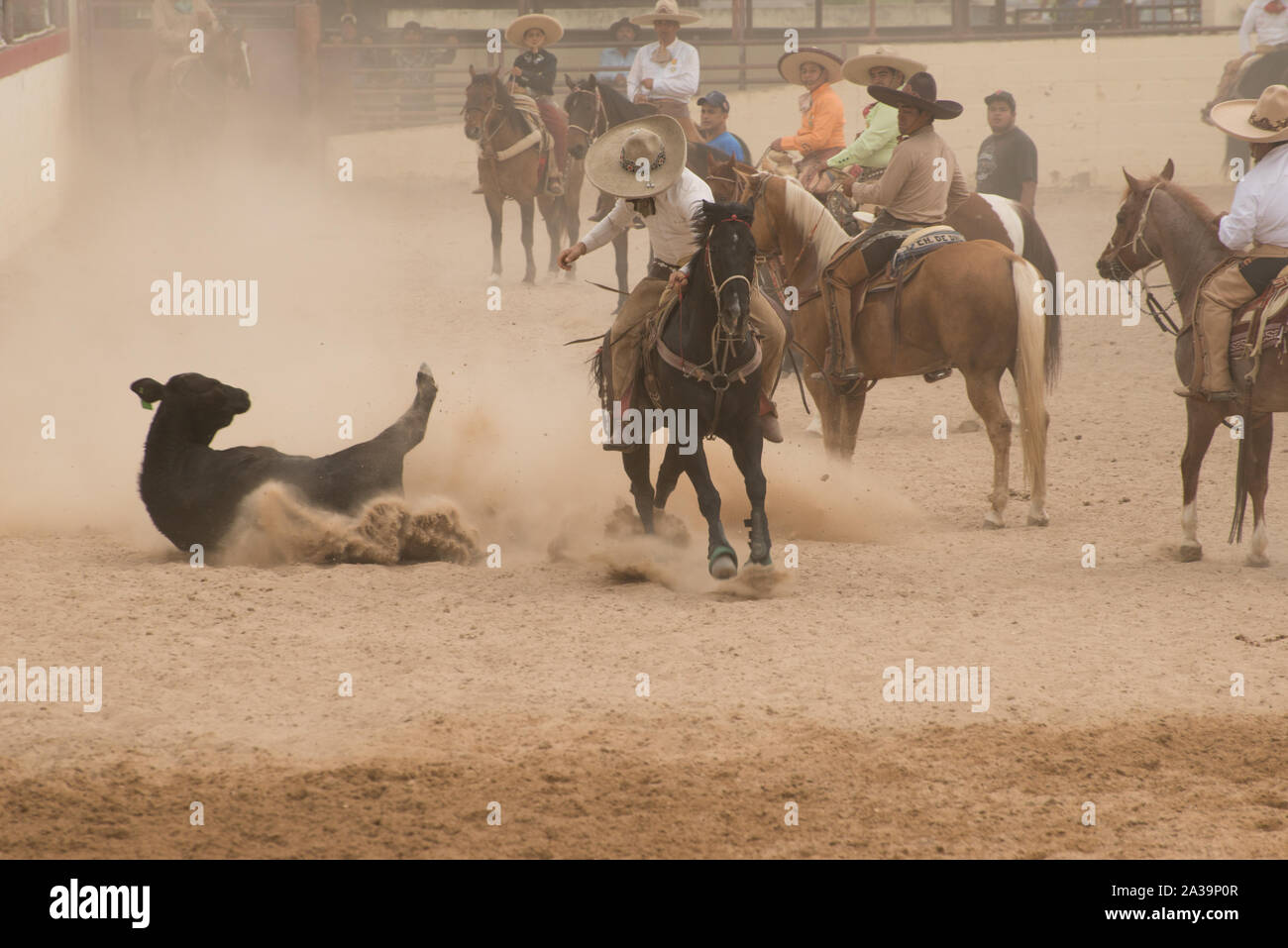 Scena di uno stile Messicano rodeo, o la charreria (equitazione), in corrispondenza di un giorno nel vecchio Messico, parte dell'annuale, monthlong Fiesta la celebrazione in San Antonio, Texas Foto Stock