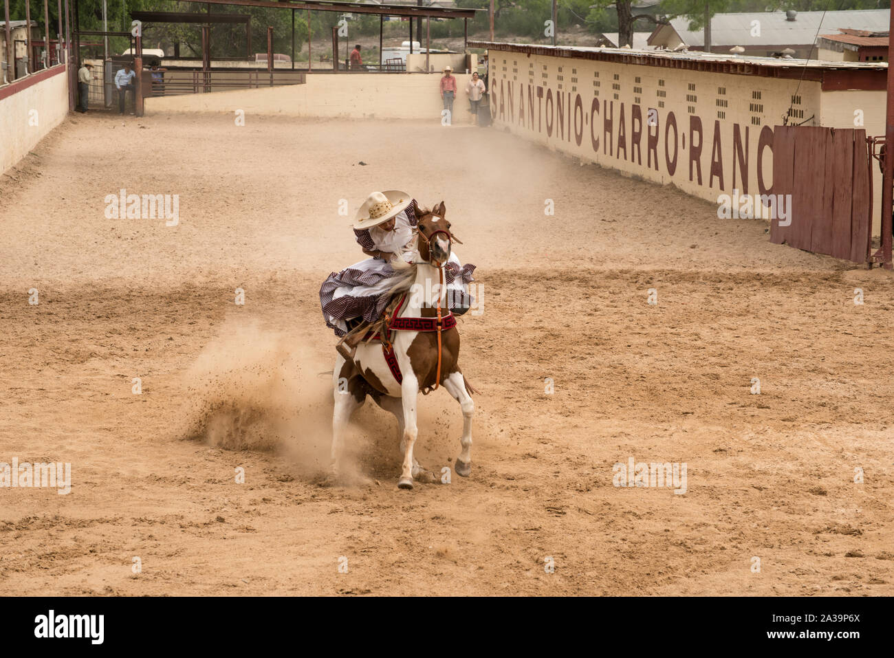 Scena di uno stile Messicano rodeo, o la charreria (equitazione), in corrispondenza di un giorno nel vecchio Messico, parte dell'annuale, monthlong Fiesta la celebrazione in San Antonio, Texas Foto Stock