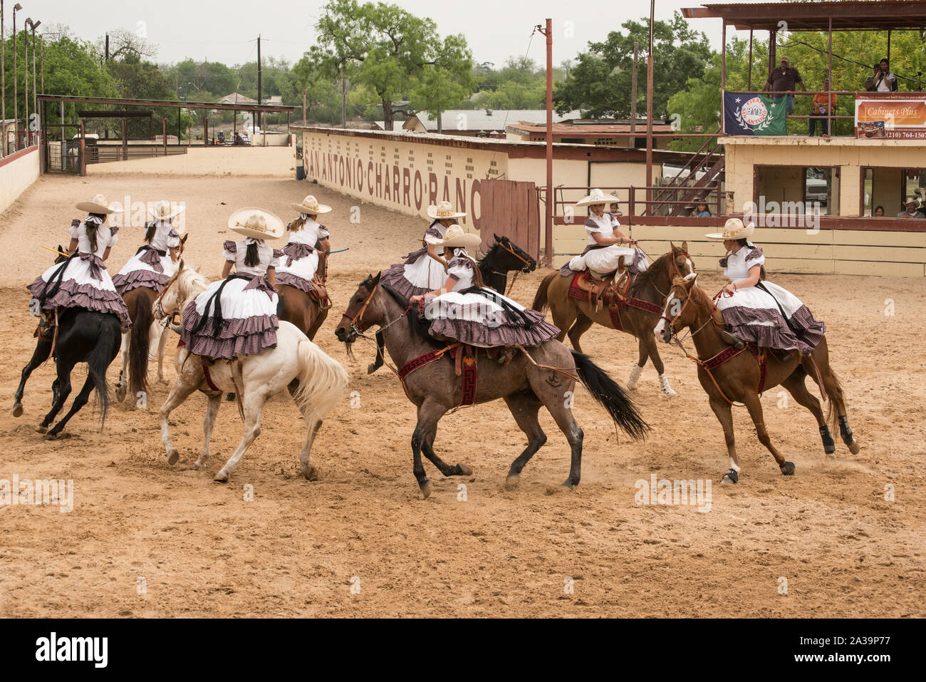 Scena di uno stile Messicano rodeo, o la charreria (equitazione), in corrispondenza di un giorno nel vecchio Messico, parte dell'annuale, monthlong Fiesta la celebrazione in San Antonio, Texas Foto Stock