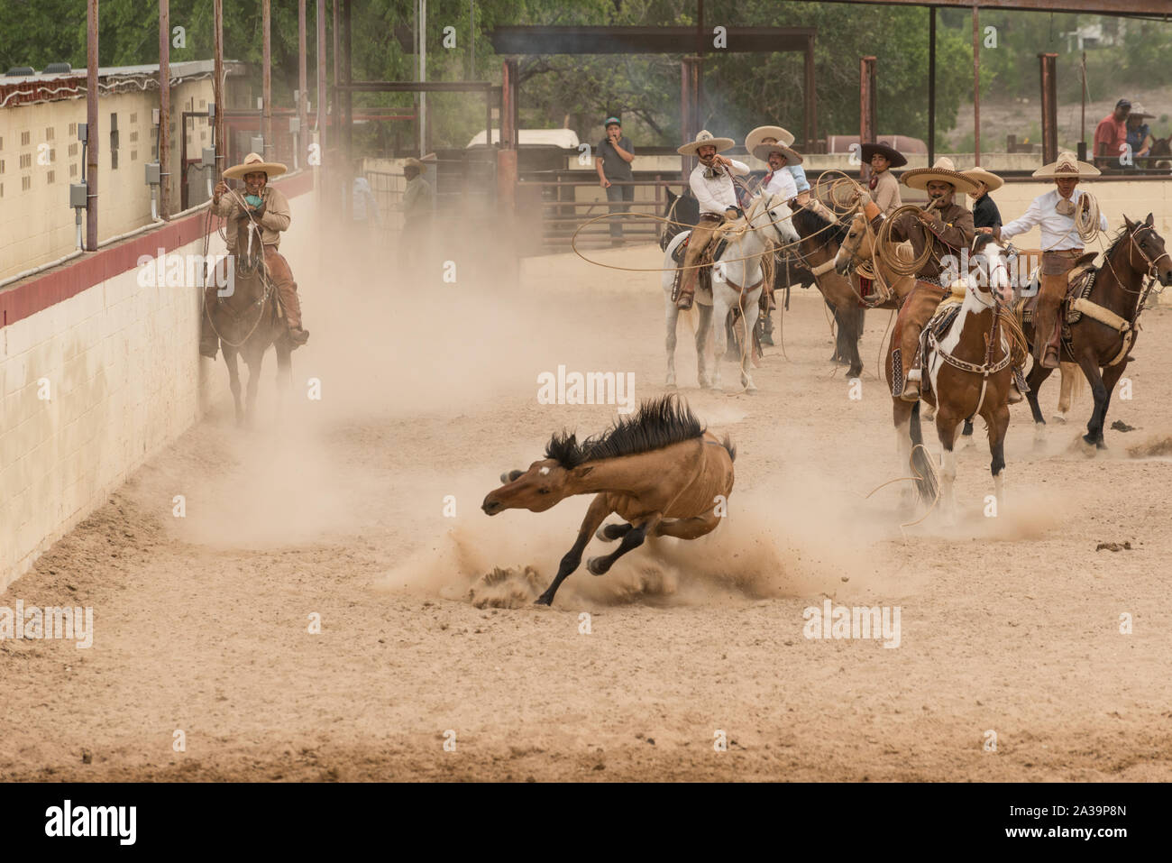 Scena di uno stile Messicano rodeo, o la charreria (equitazione), in corrispondenza di un giorno nel vecchio Messico, parte dell'annuale, monthlong Fiesta la celebrazione in San Antonio, Texas Foto Stock