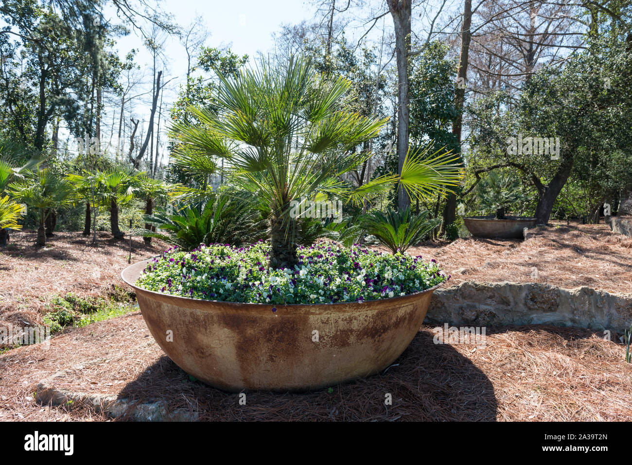 Scena da 252 acri di Shangri La Centro botanico e natura giardini in arancione, Texas Foto Stock