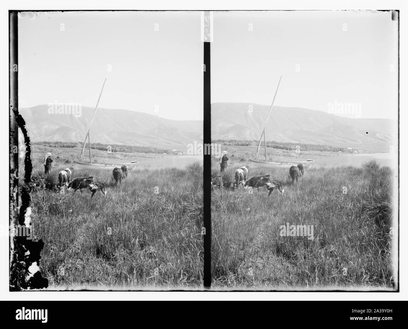 Scena nel nord della Palestina Foto Stock