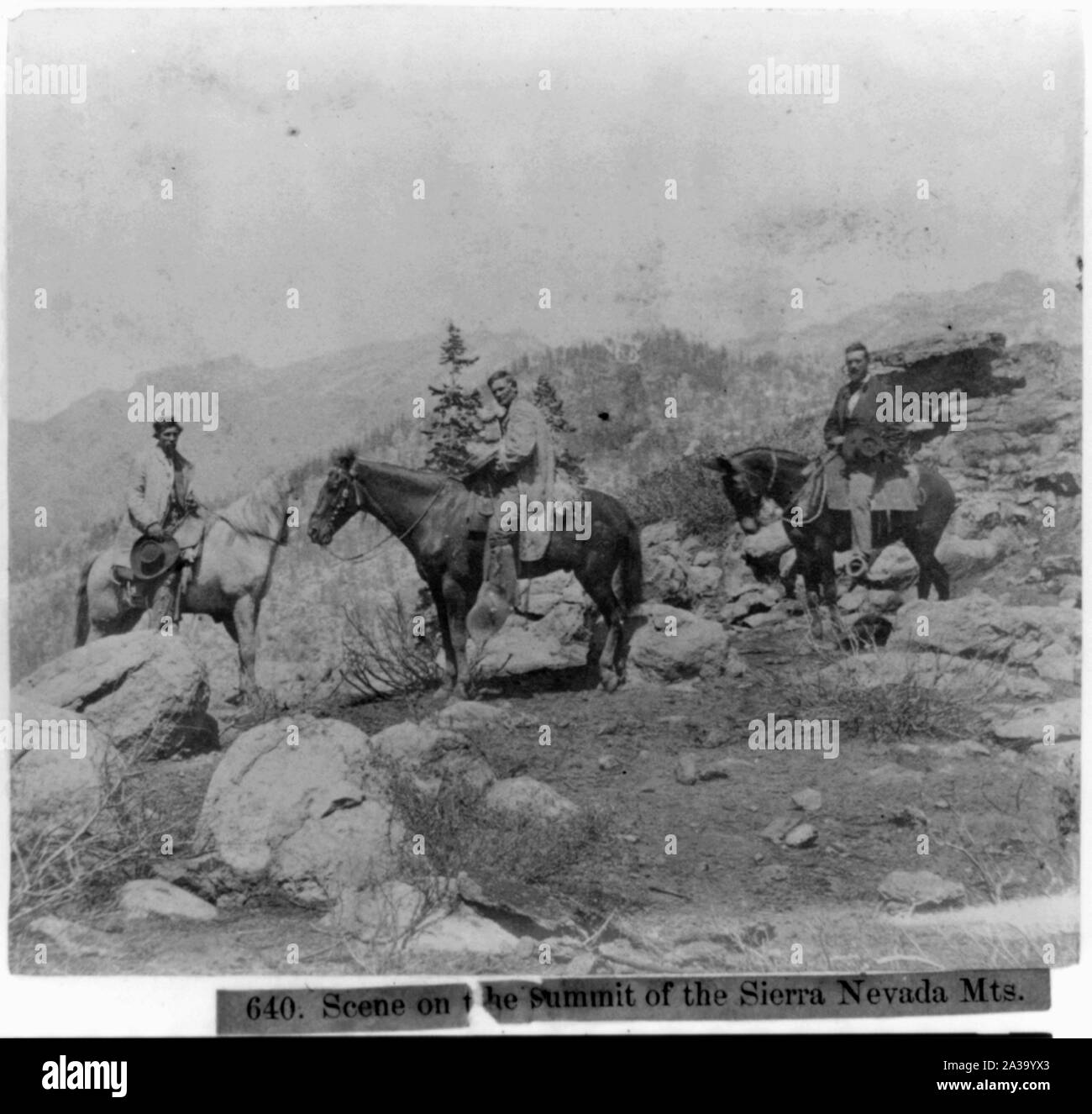 Scena sulla cima delle montagne della Sierra Nevada Foto Stock