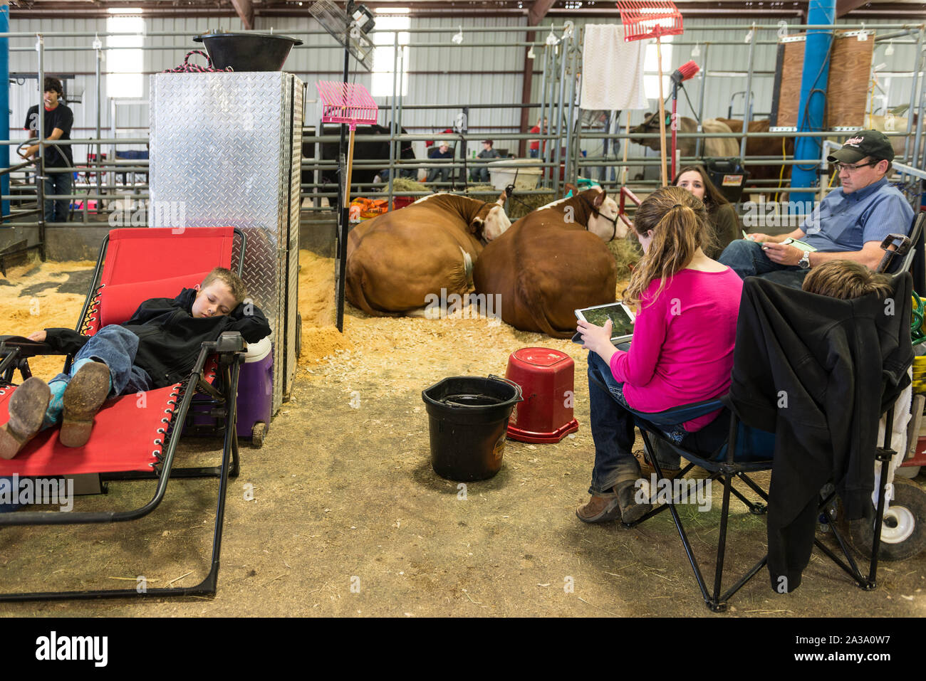 Scene da stock mostra porzione di Rodeo Austin, la città di stock annuale mostra e rodeo. Austin, Texas Foto Stock