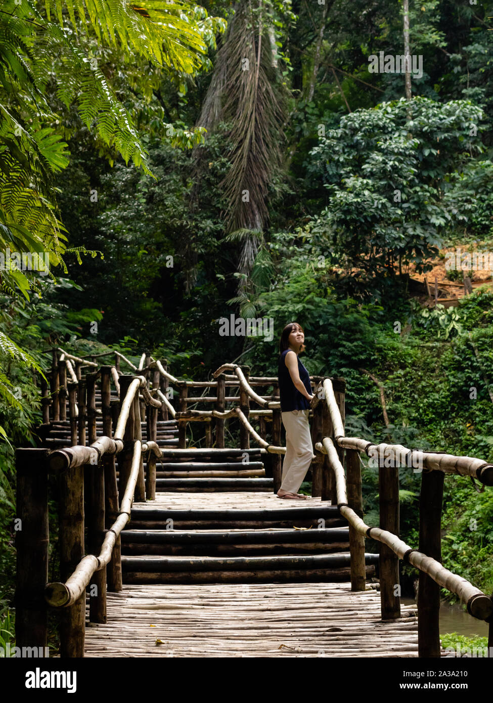 Giovani moda donna su un ponte di bambù Foto Stock