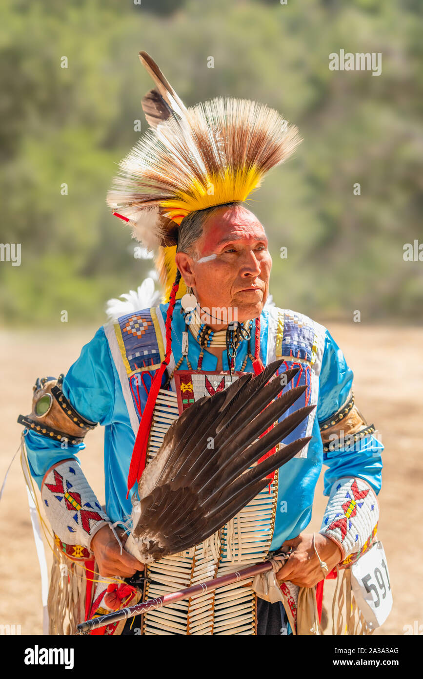 Pow Wow. Ritratto di Greg Red Elk in full regalia Foto Stock