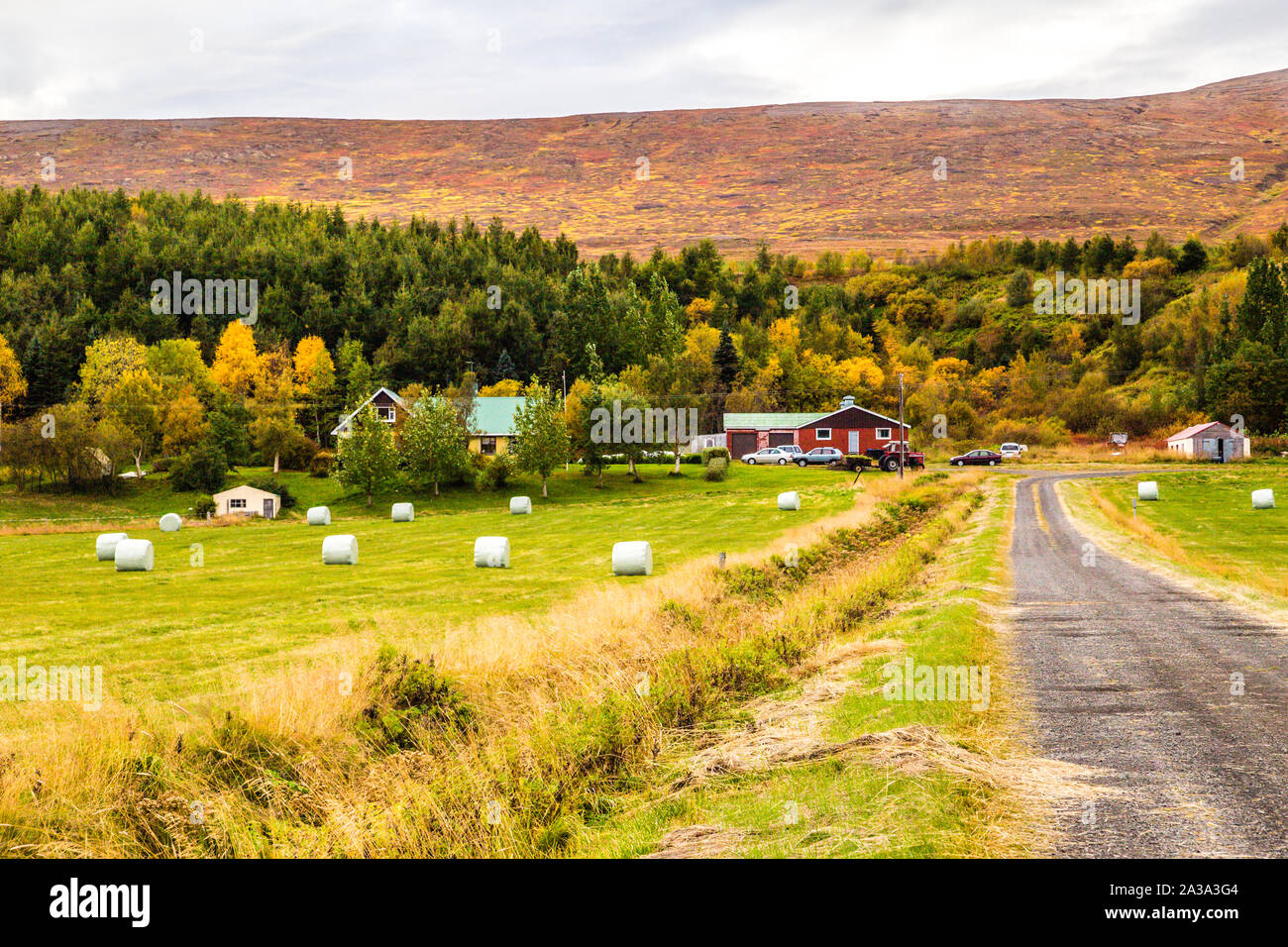 Agriturismo e i campi di fieno in autunno in Islanda Foto Stock