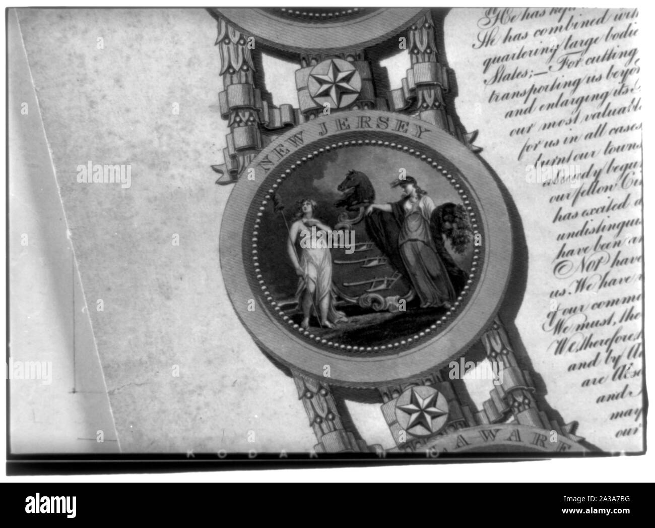 Guarnizione del New Jersey Foto Stock