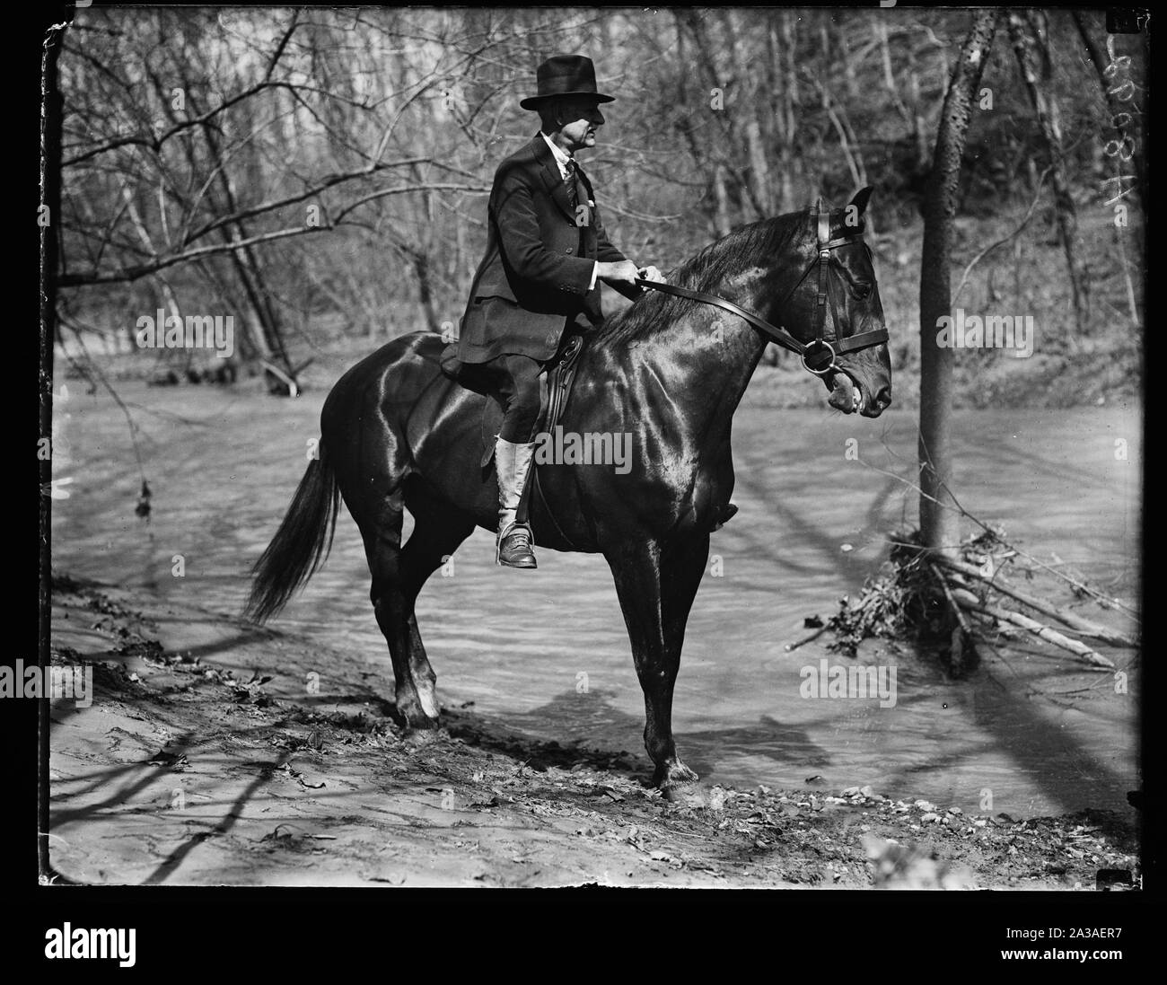 Il Sen. O.E. Weller di Md. a cavallo Foto Stock