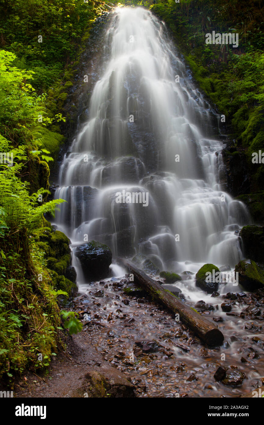 Le Fairy Falls, Columbia River Gorge, Oregon, Stati Uniti d'America Foto Stock