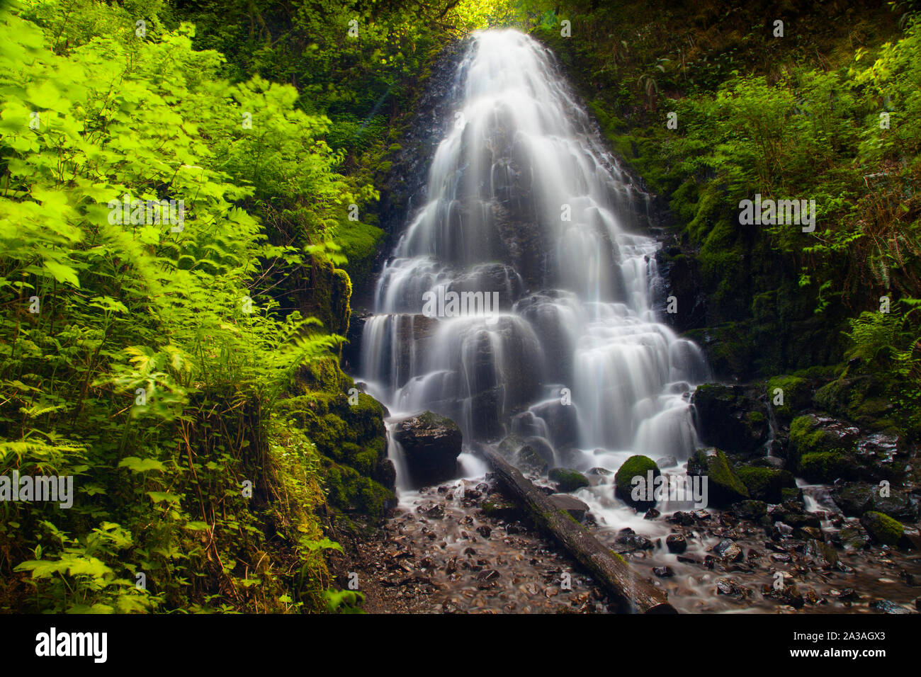 Le Fairy Falls, Columbia River Gorge, Oregon, Stati Uniti d'America Foto Stock
