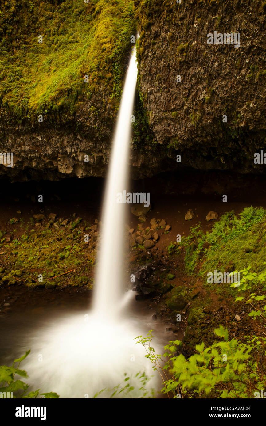 Coda di cavallo cade, Columbia River Gorge, Oregon, Stati Uniti d'America Foto Stock