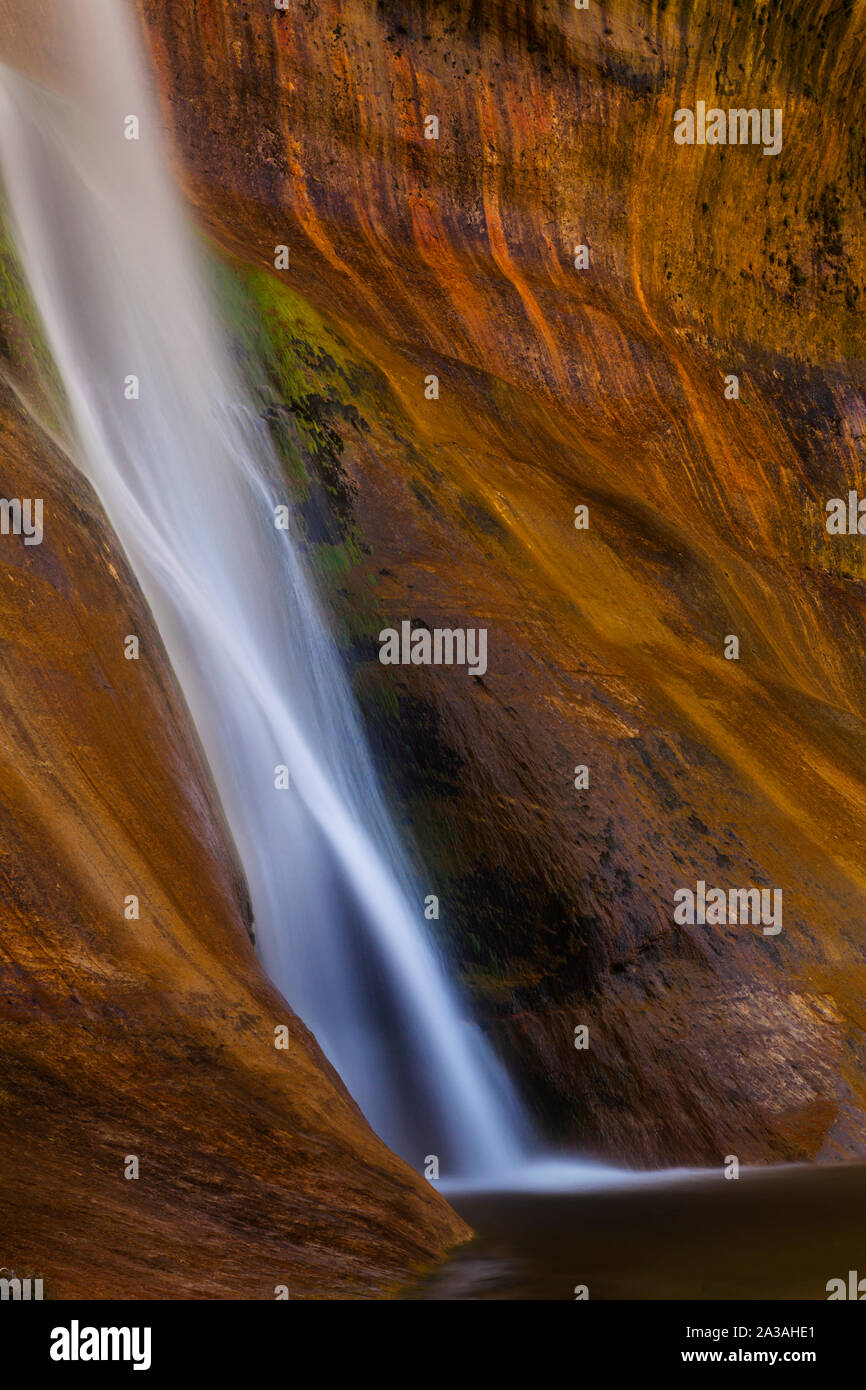 Abbassare Calf Creek Falls, Scalone Escalante National Monument, UT, STATI UNITI D'AMERICA Foto Stock