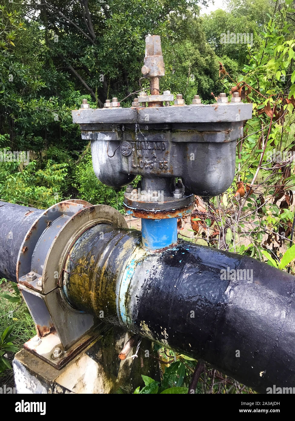 SAMUT PRAKAN, Thailandia, Settembre 13 2019, Doppia Aria valvola sul tubo in acciaio nella natura tropicale, Thailandia. Un aria valvola riduttrice di pressione nel sistema dell'acqua di alimentazione. Foto Stock