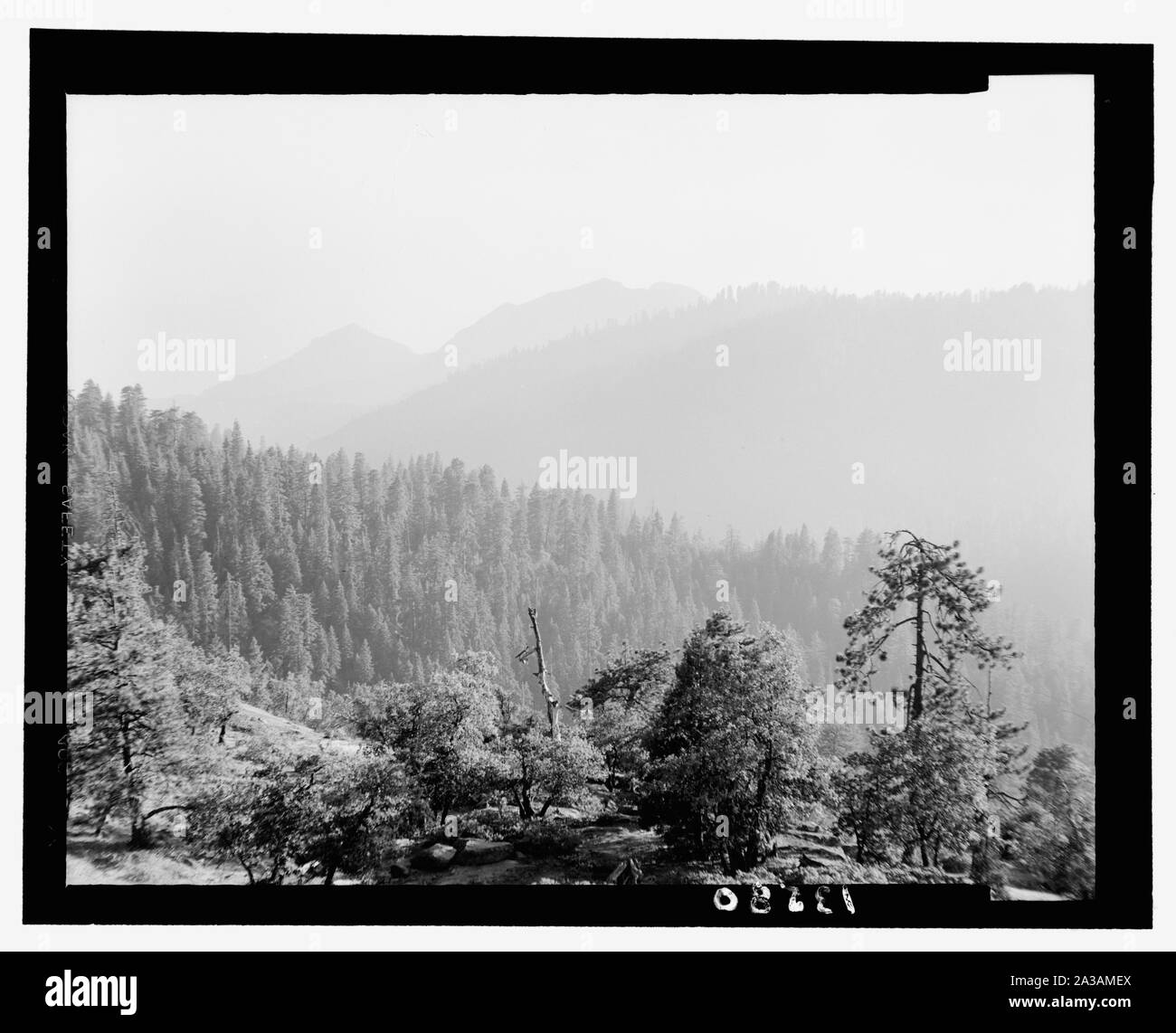 Seqouia [cioè] Sequoia e Kings Canyon National Park, luglio 1950 (xi al 23rd). Vista dal Rock al tramonto guardando verso sud, anche la luce. Foto Stock