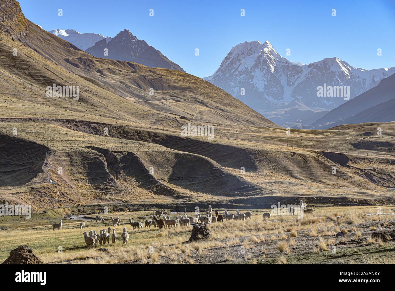 Andina incredibili paesaggi di montagna nella valle Chillca. Ausungate, Cusco, Perù Foto Stock