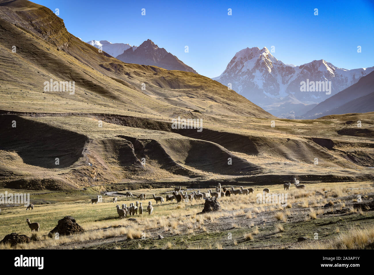 Andina incredibili paesaggi di montagna nella valle Chillca. Ausungate, Cusco, Perù Foto Stock