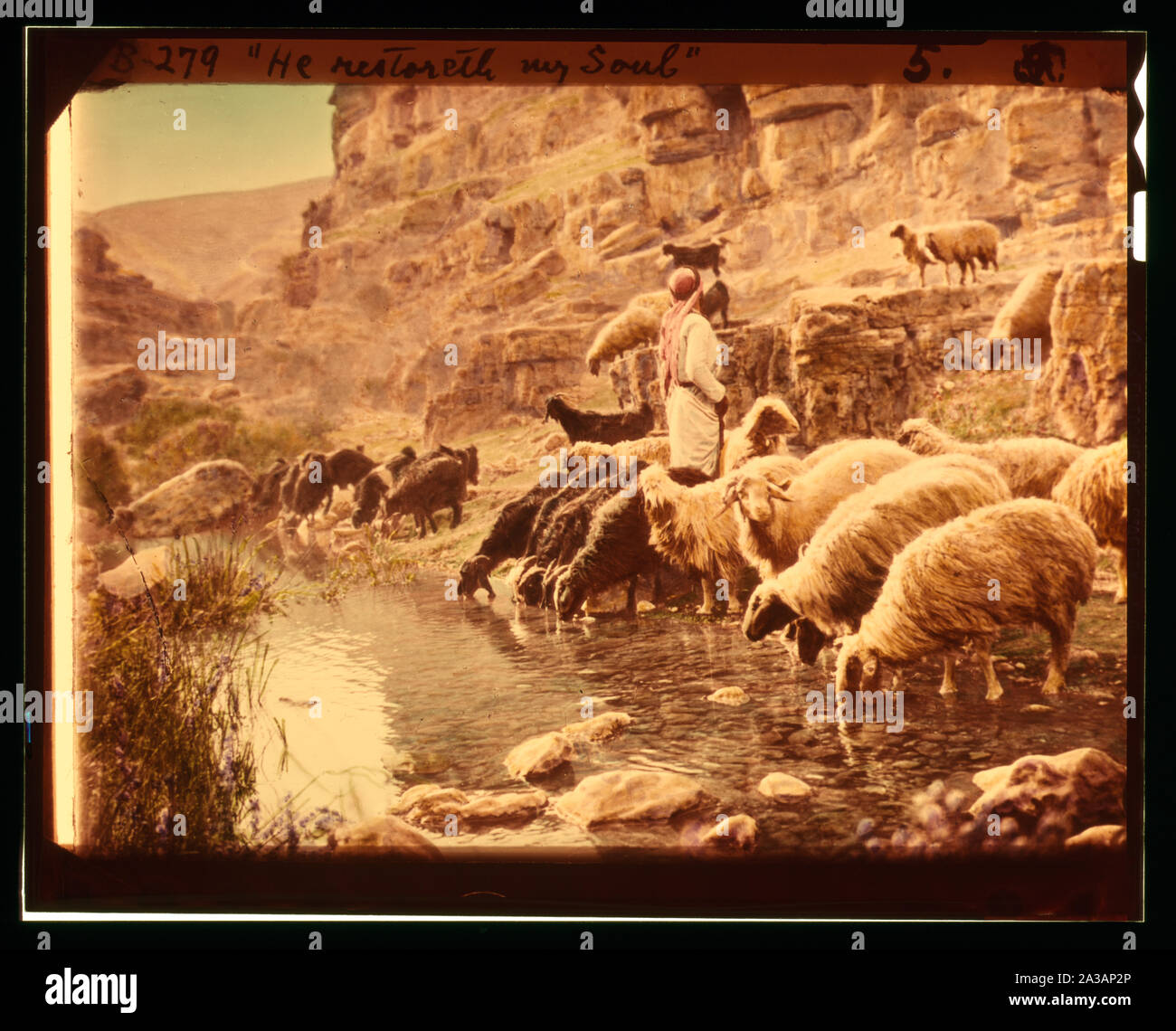 Serie di tredici selezionare diapositive di pastore la vita che illustra la XXIII Salmo. Egli ristabilisce la mia anima Foto Stock