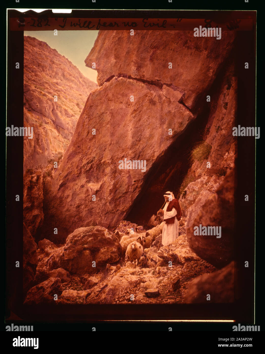 Serie di tredici selezionare diapositive di pastore la vita che illustra la XXIII Salmo. Farò temere alcun male perché tu sei con me Foto Stock