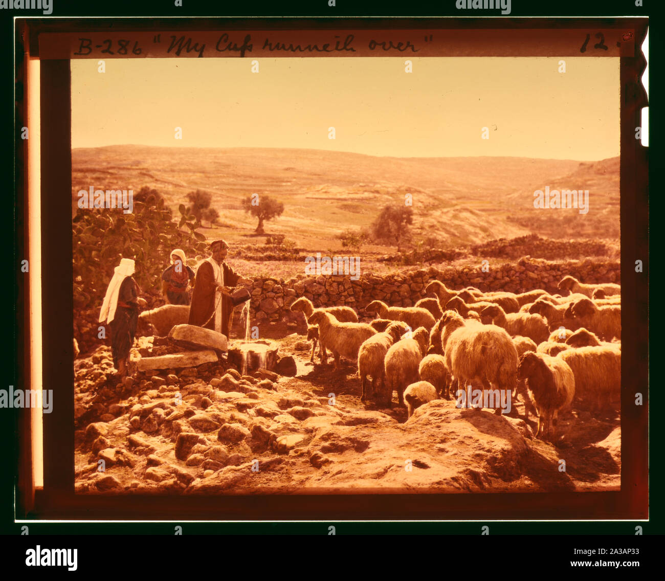 Serie di tredici selezionare diapositive di pastore la vita che illustra la XXIII Salmo. La mia Coppa corre su Foto Stock