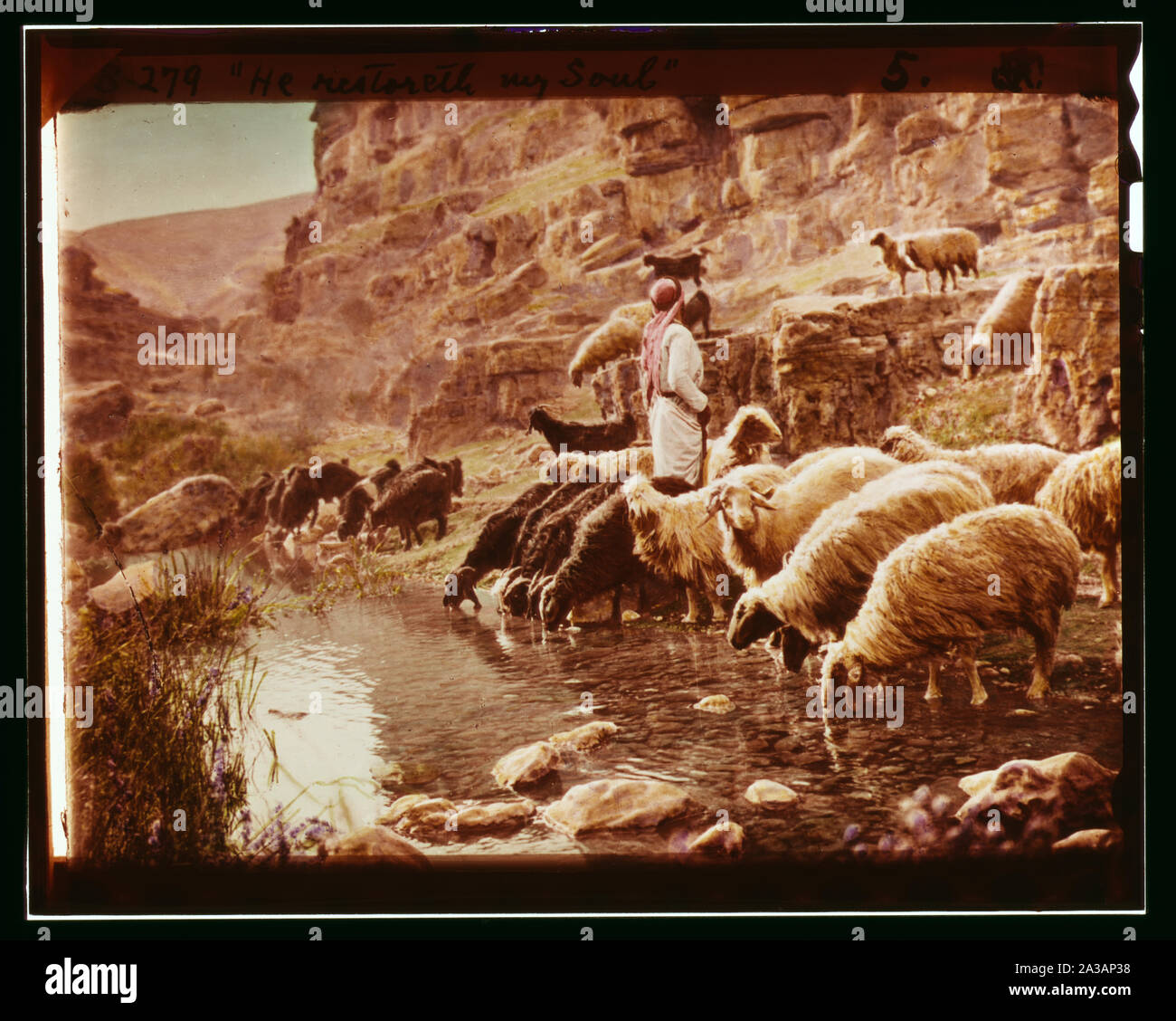 Serie di tredici selezionare diapositive di pastore la vita che illustra la XXIII Salmo. Egli ristabilisce la mia anima Foto Stock